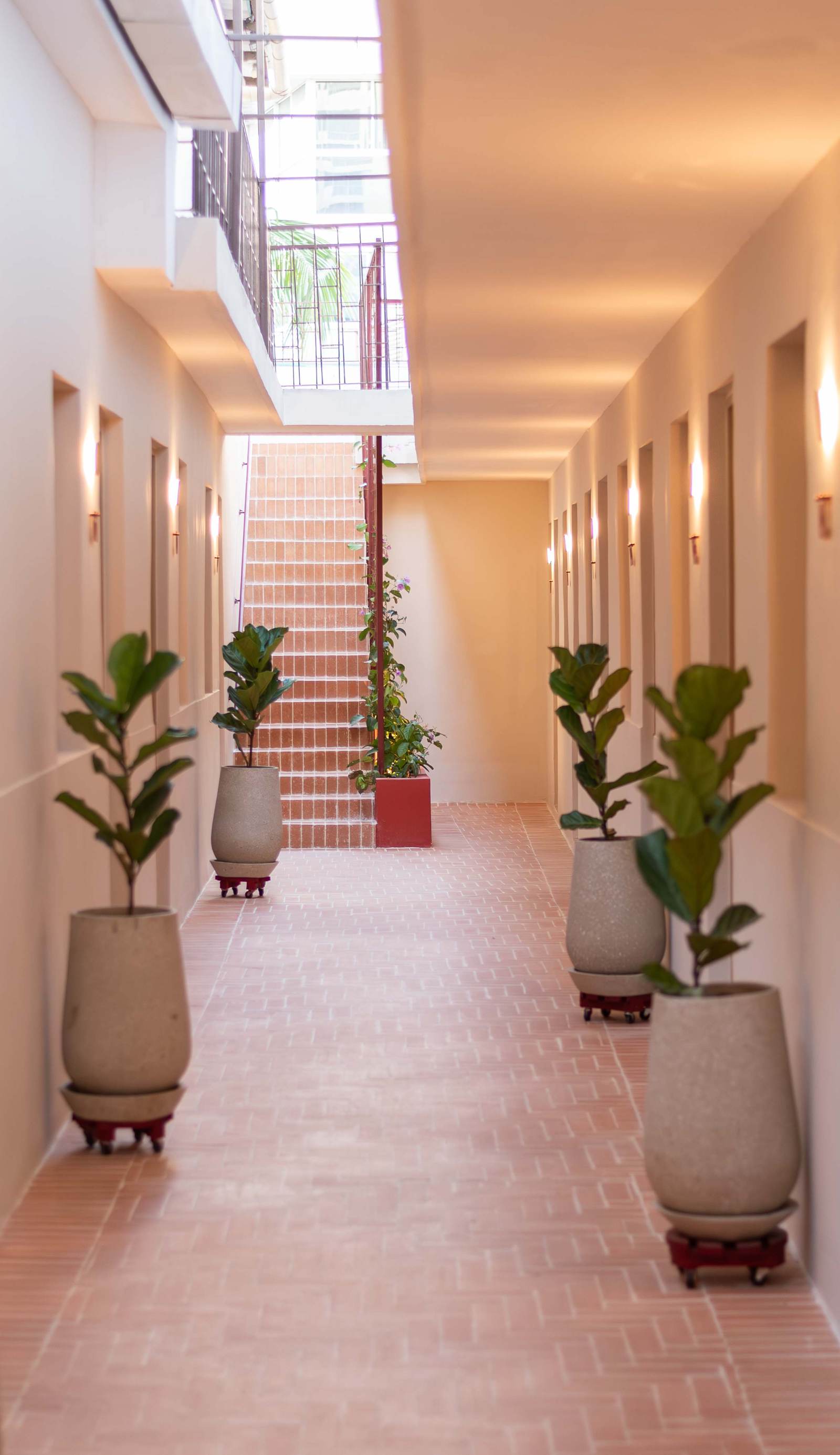 Hotel Casa del Huésped