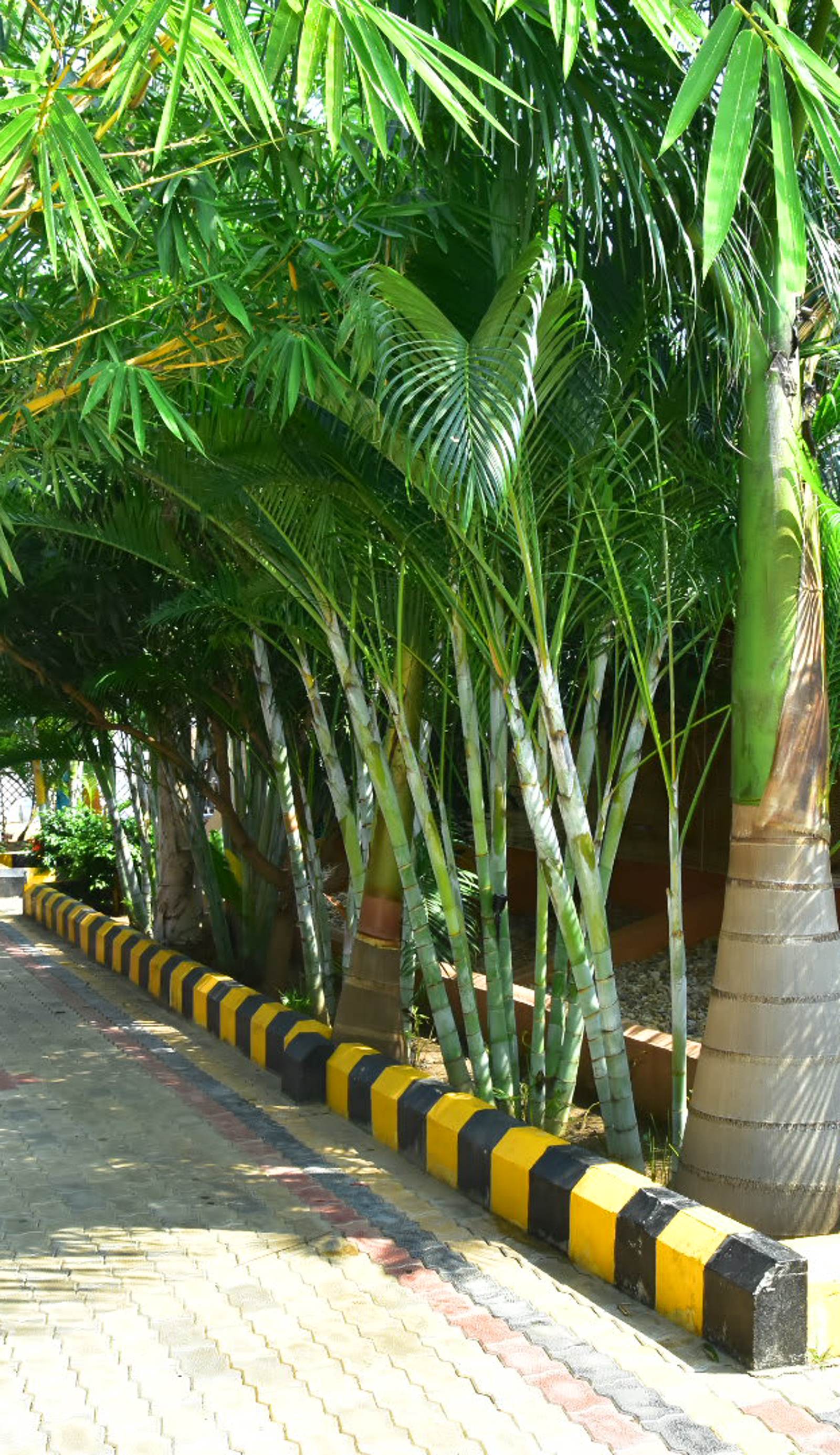 Megha Resort Hampi