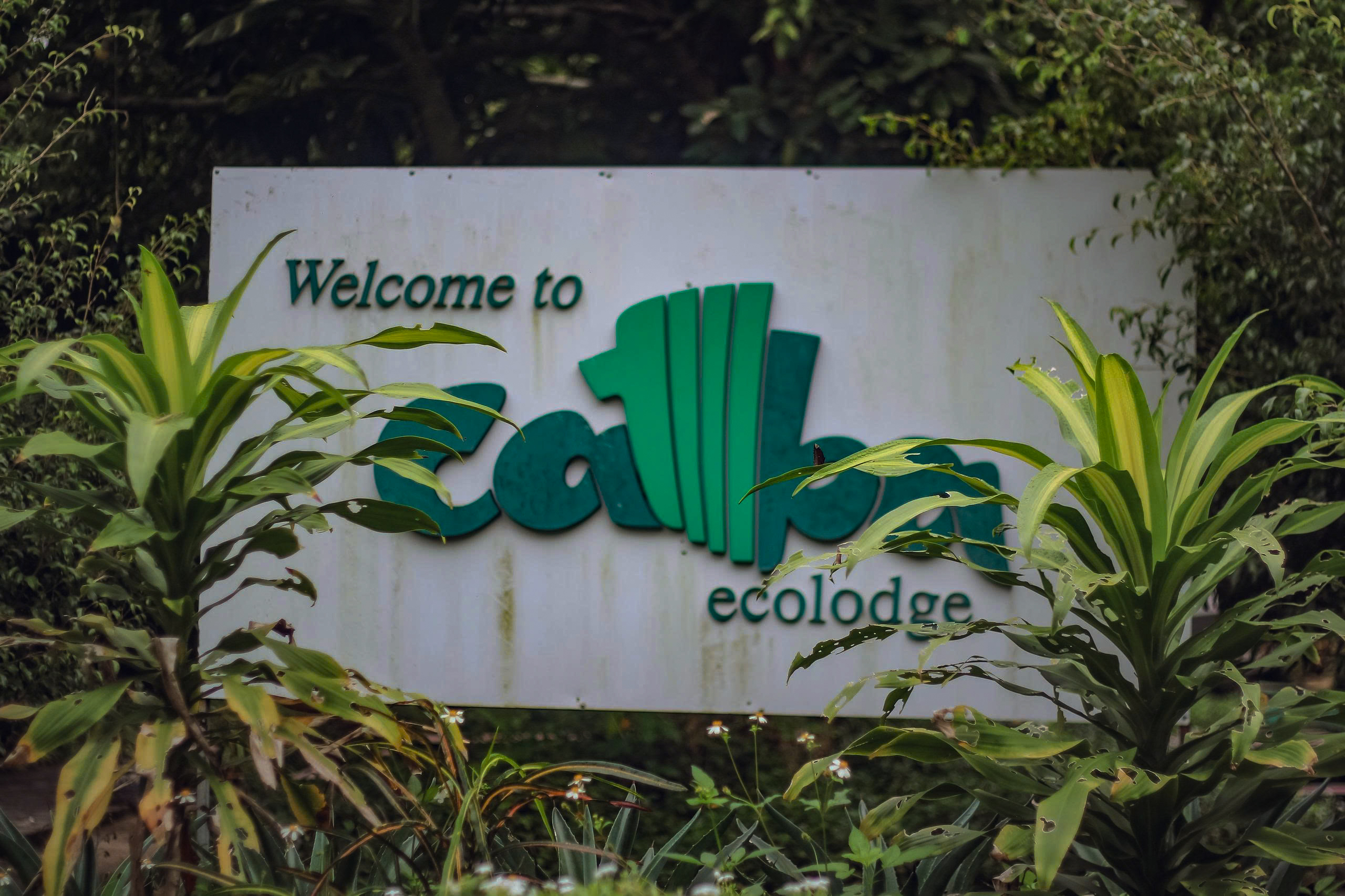 Ecolodge Cat Ba