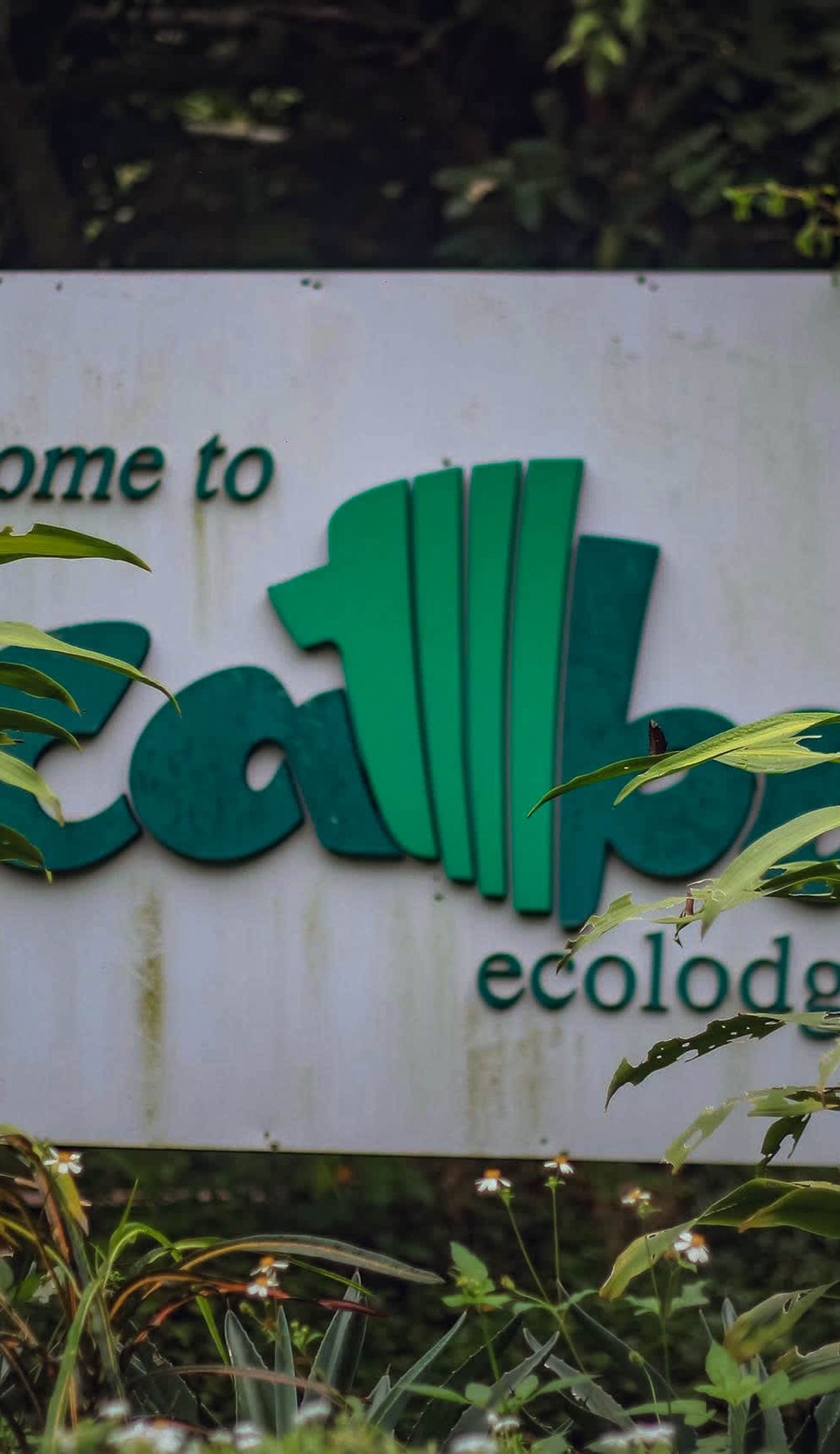 Ecolodge Cat Ba