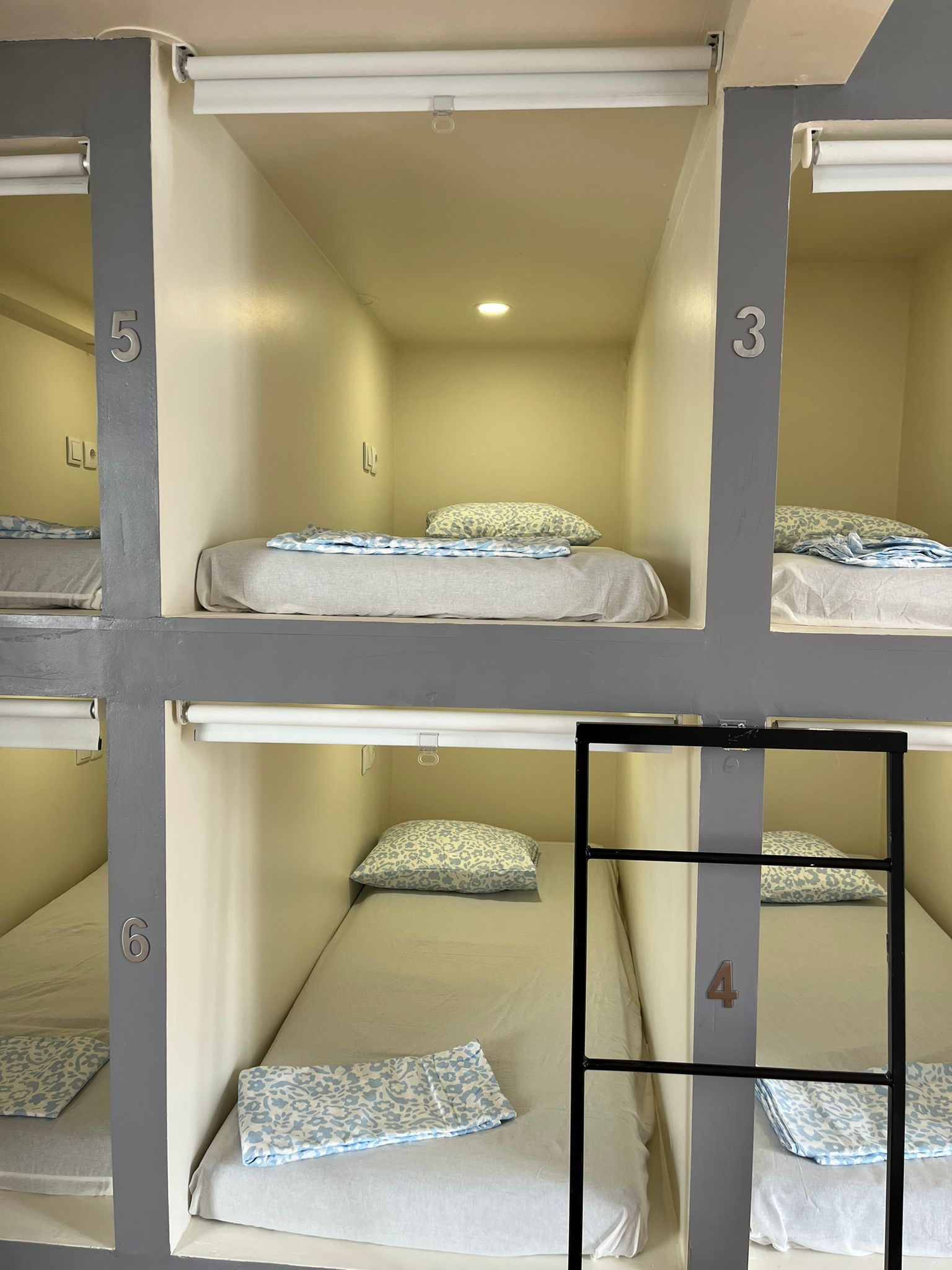 Daora Stay Beds