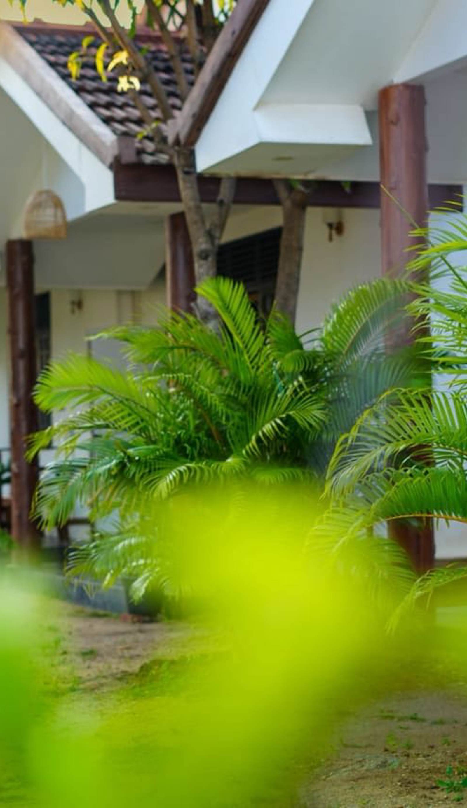 Arugam Bay Paradise Palms
