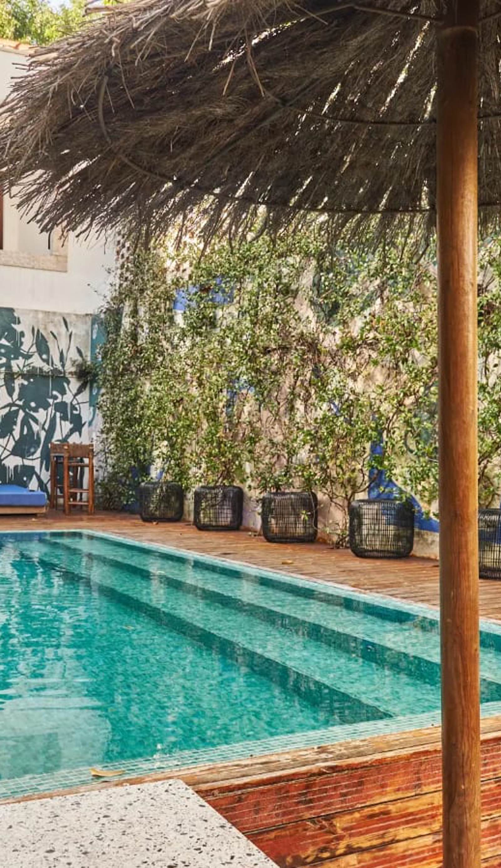 Secret Patio Lisbon