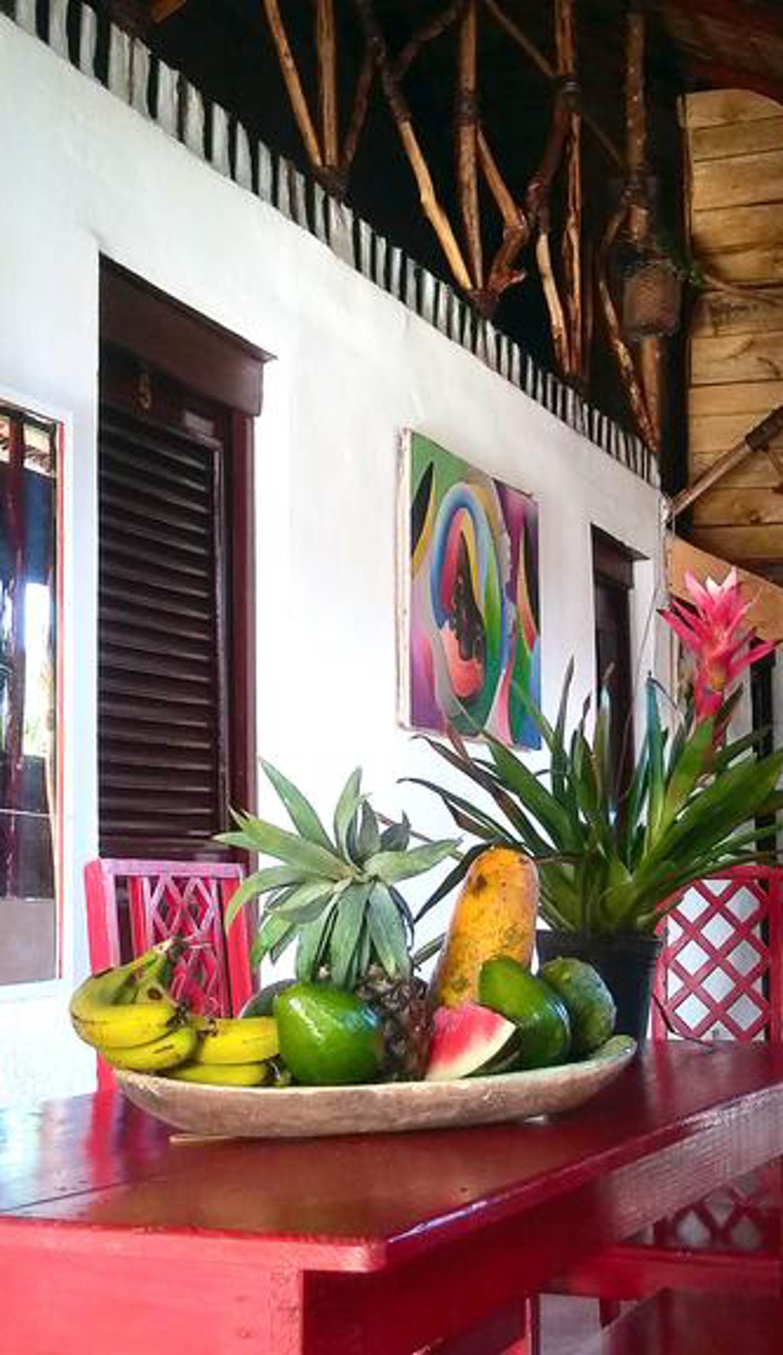 Hostel La Ballena Backpacker