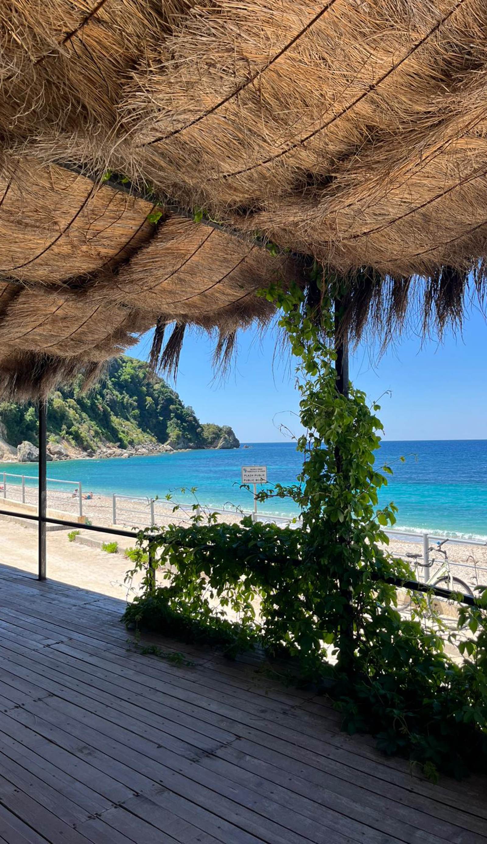 Oasis on the Beach