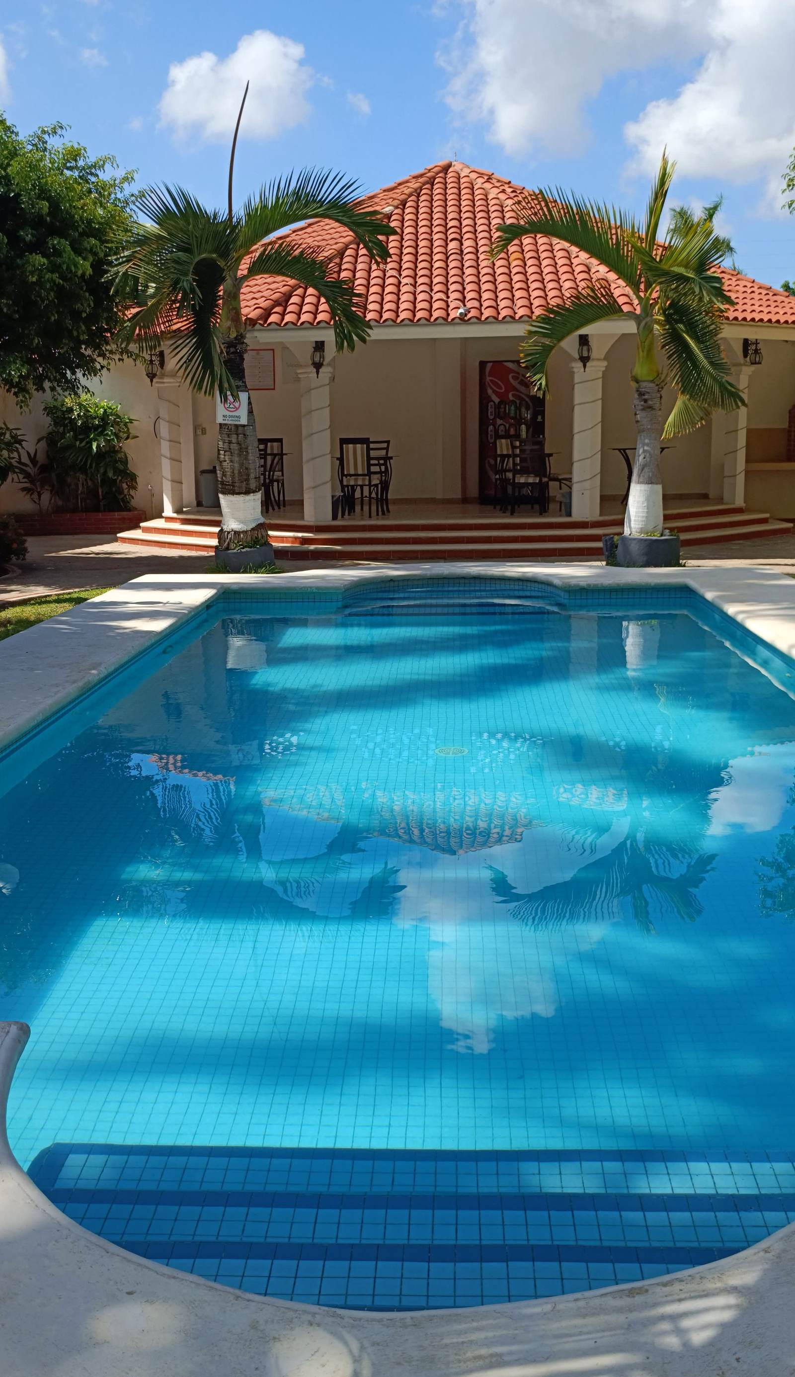 Tulipanes Cancun