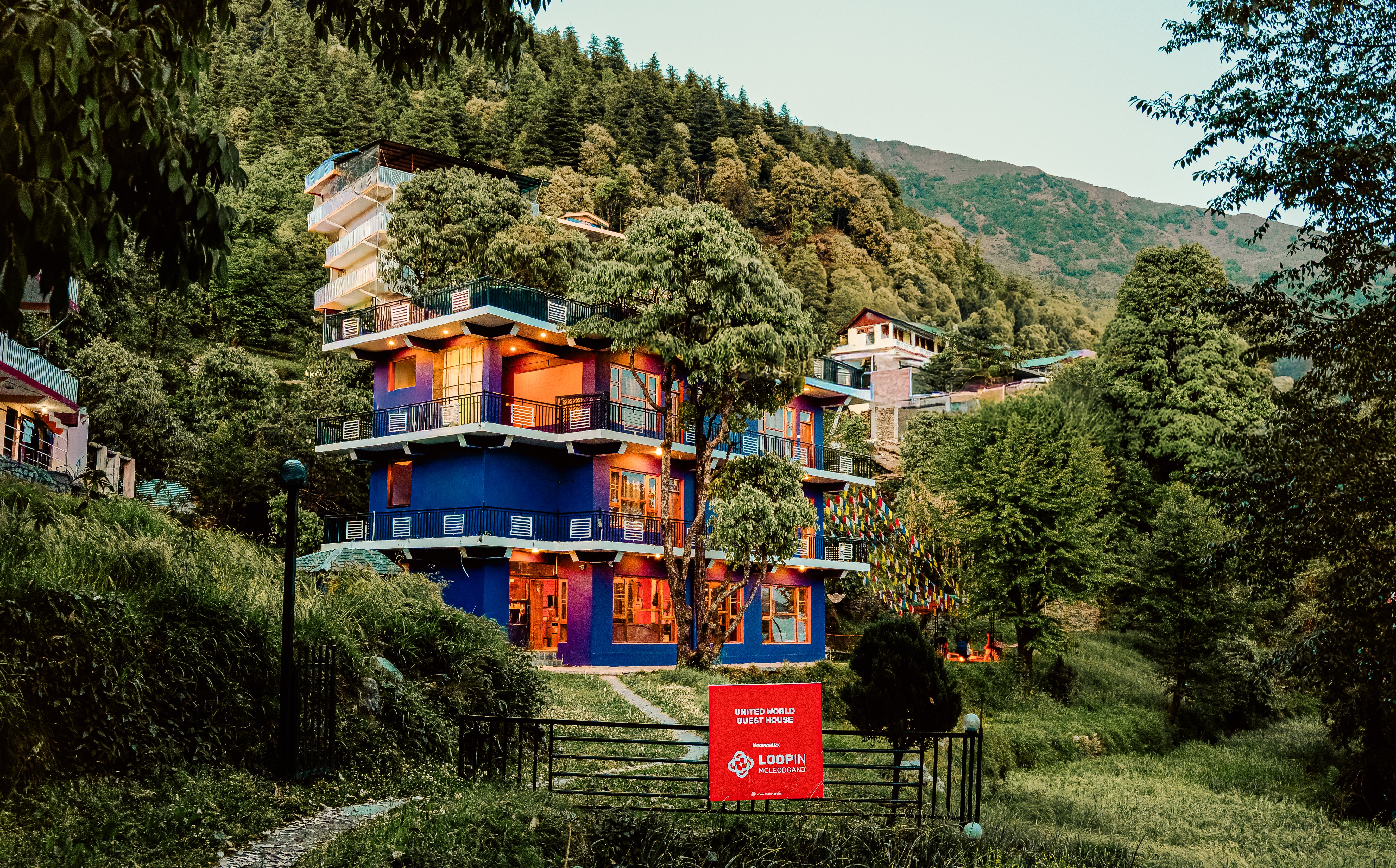 Loopin.Mcleodganj