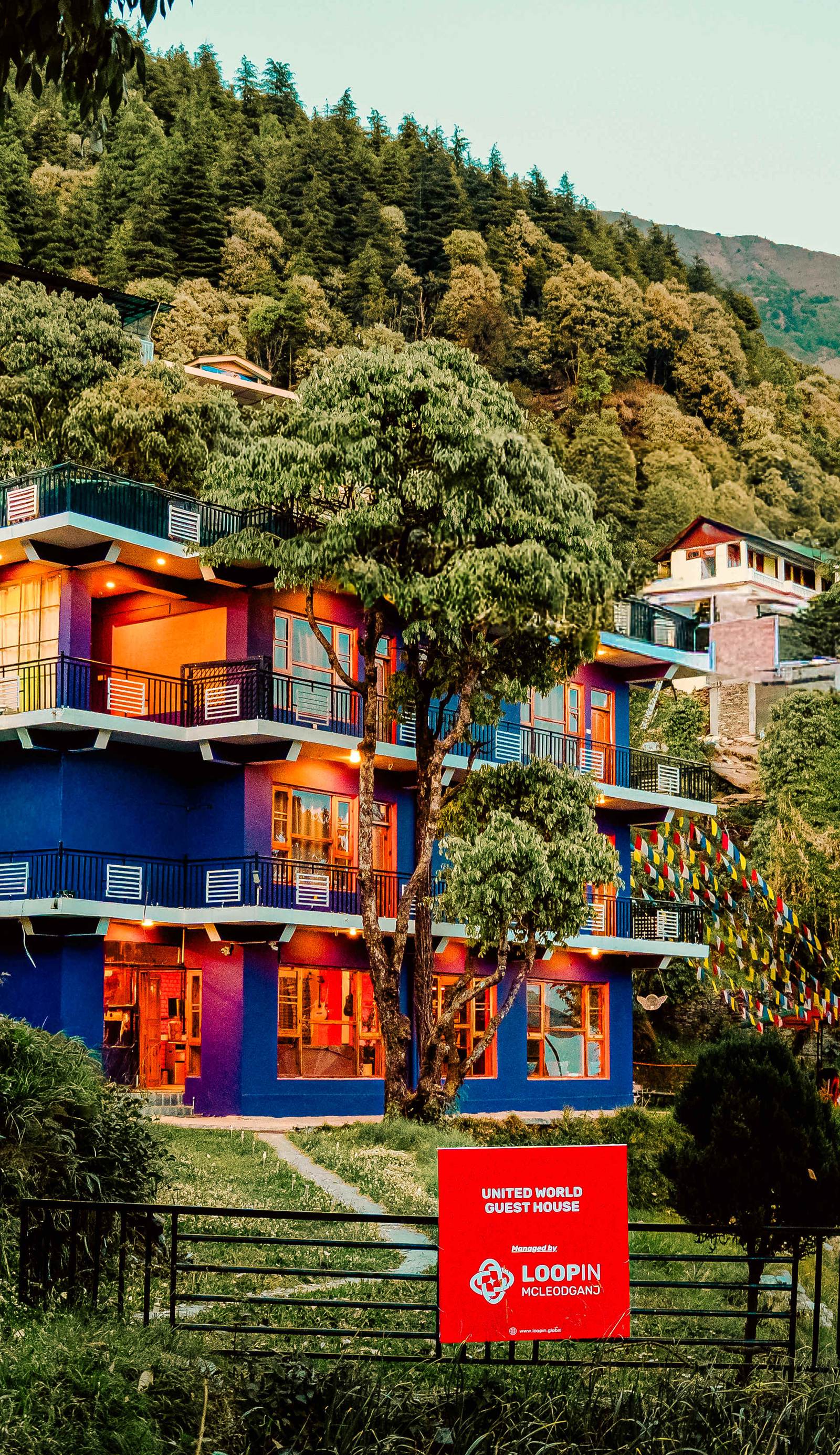 Loopin.Mcleodganj