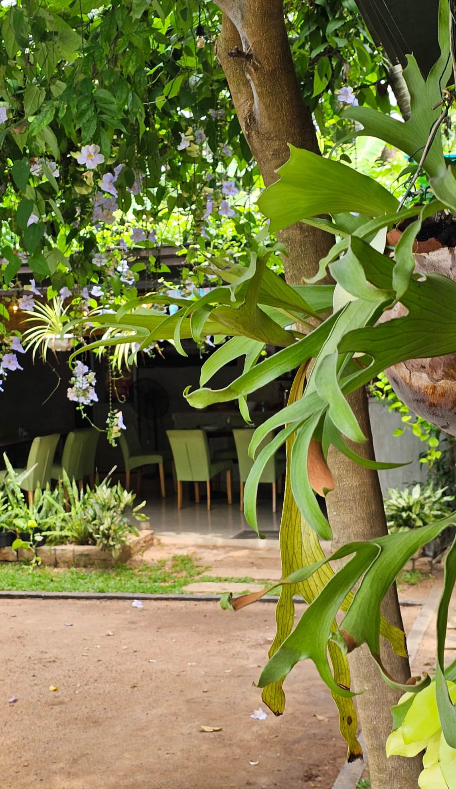 Goalma Wilpattu Safari Facility