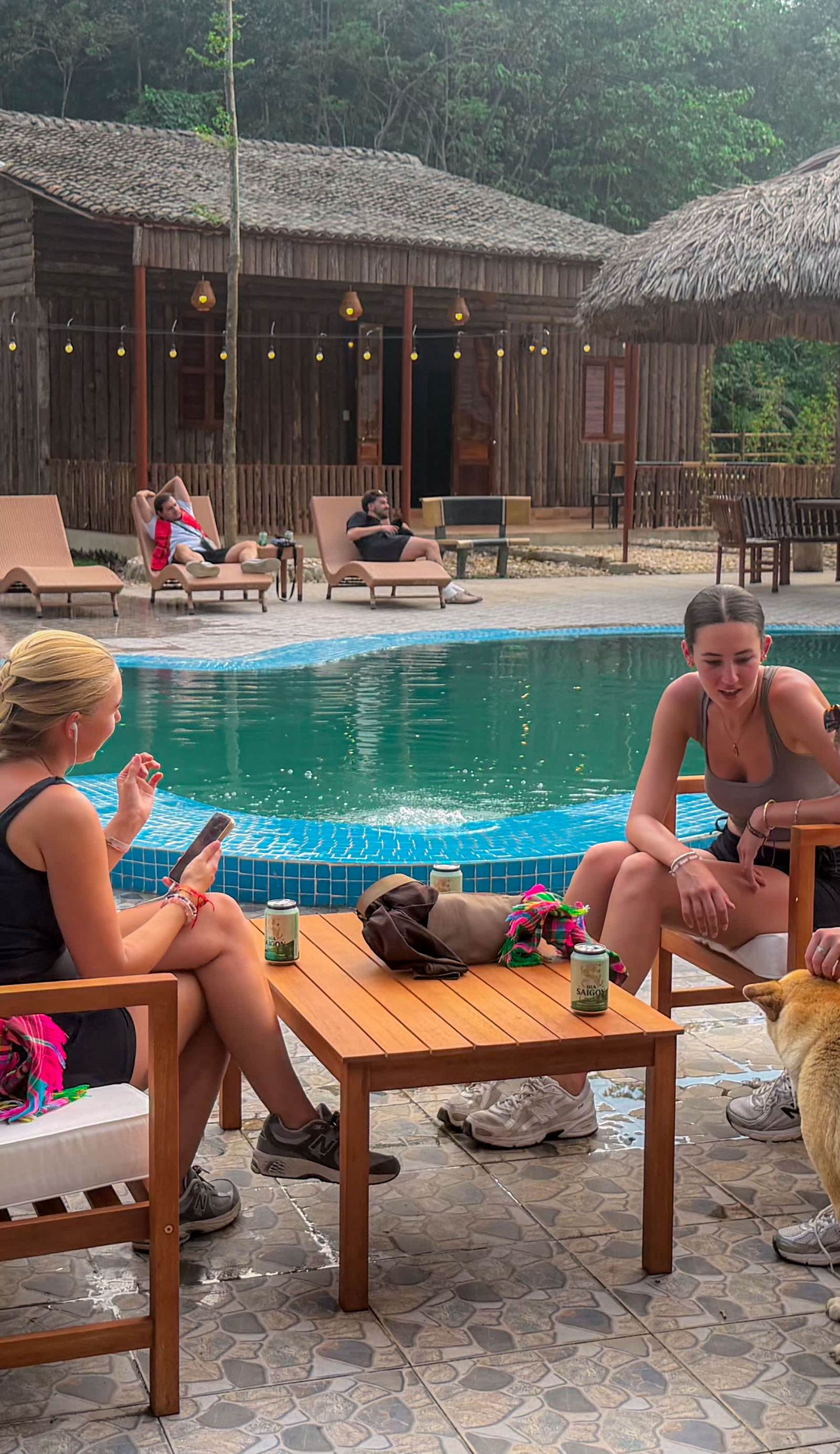 Loop Tribe Social Hostel