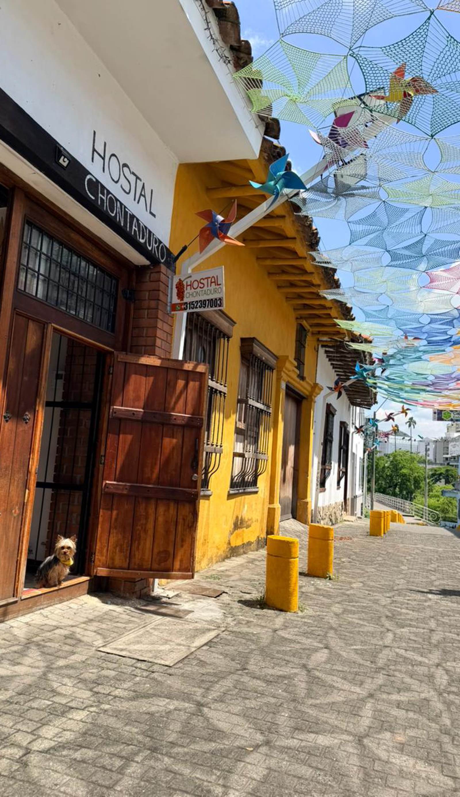 Nuevo Rumbo San Antonio Hostal