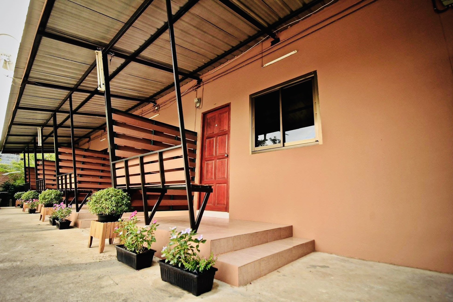230 Sugar Brown