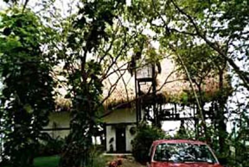 Tree Tops Bed & Breakfast