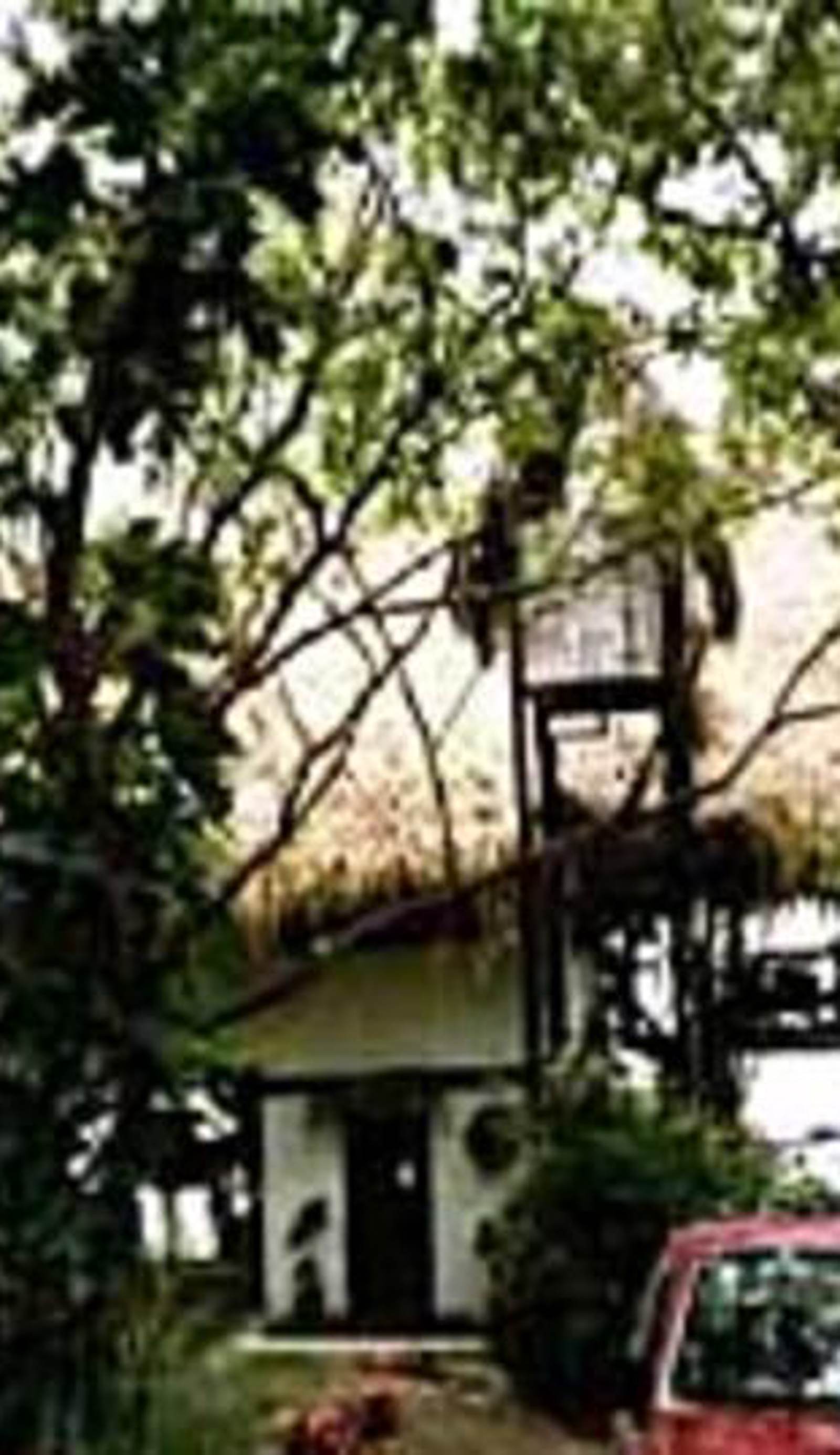 Tree Tops Bed & Breakfast