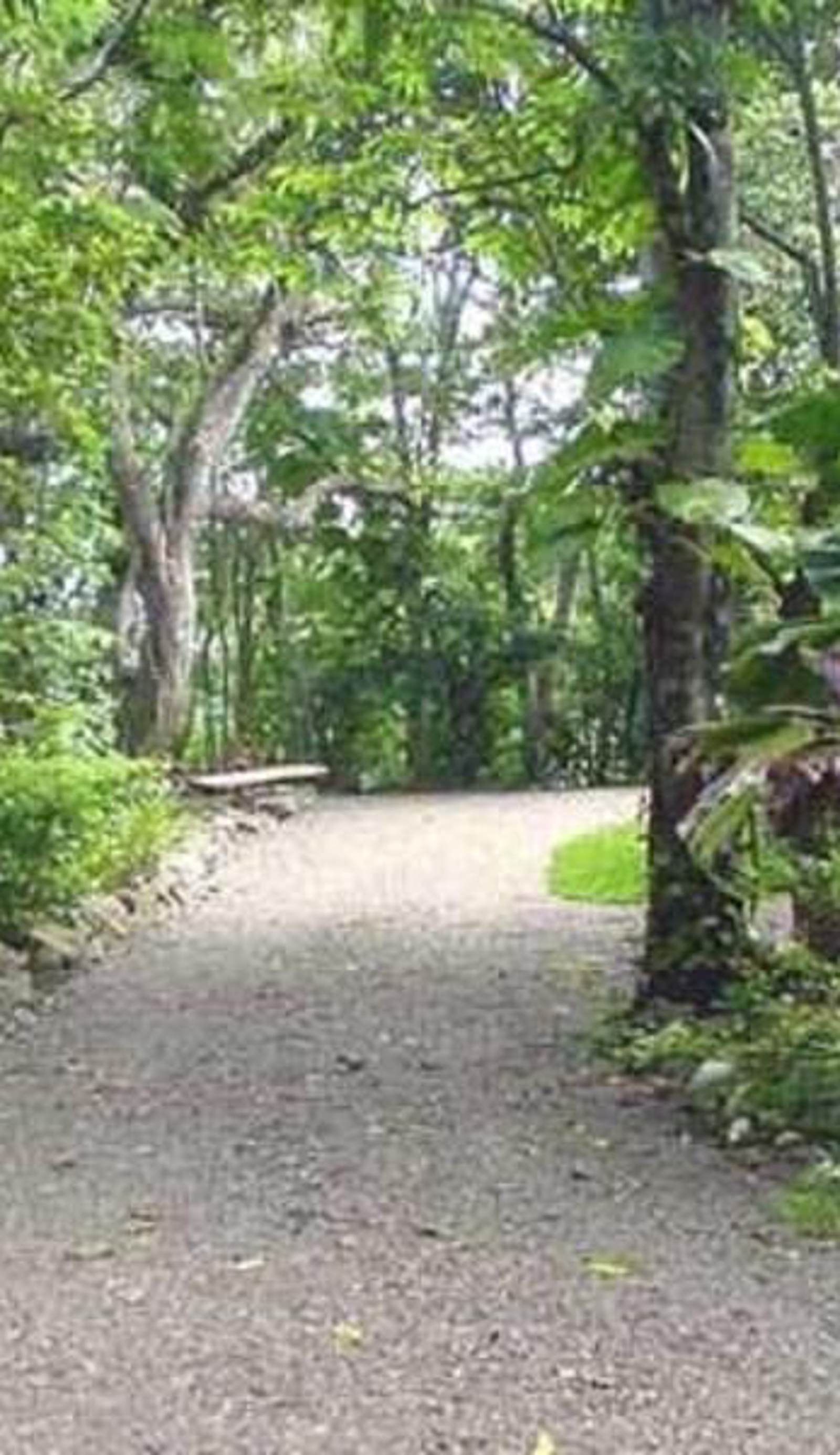 Tree Tops Bed & Breakfast