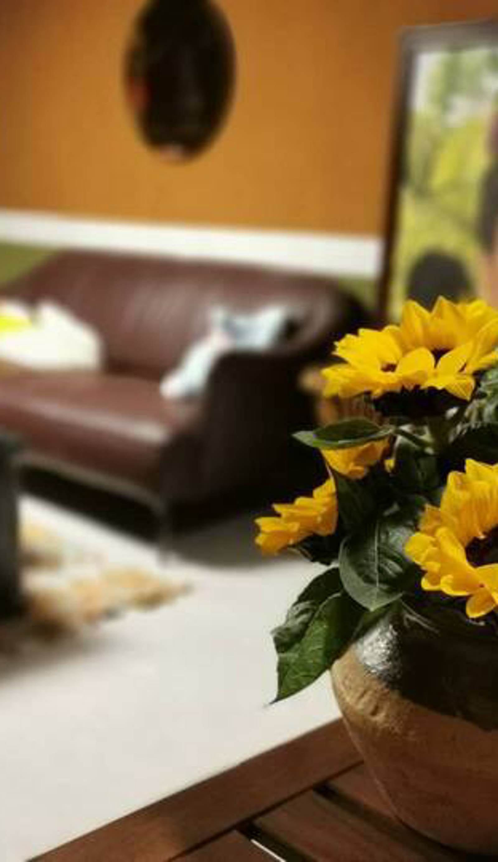 Jiangsushe Guest House