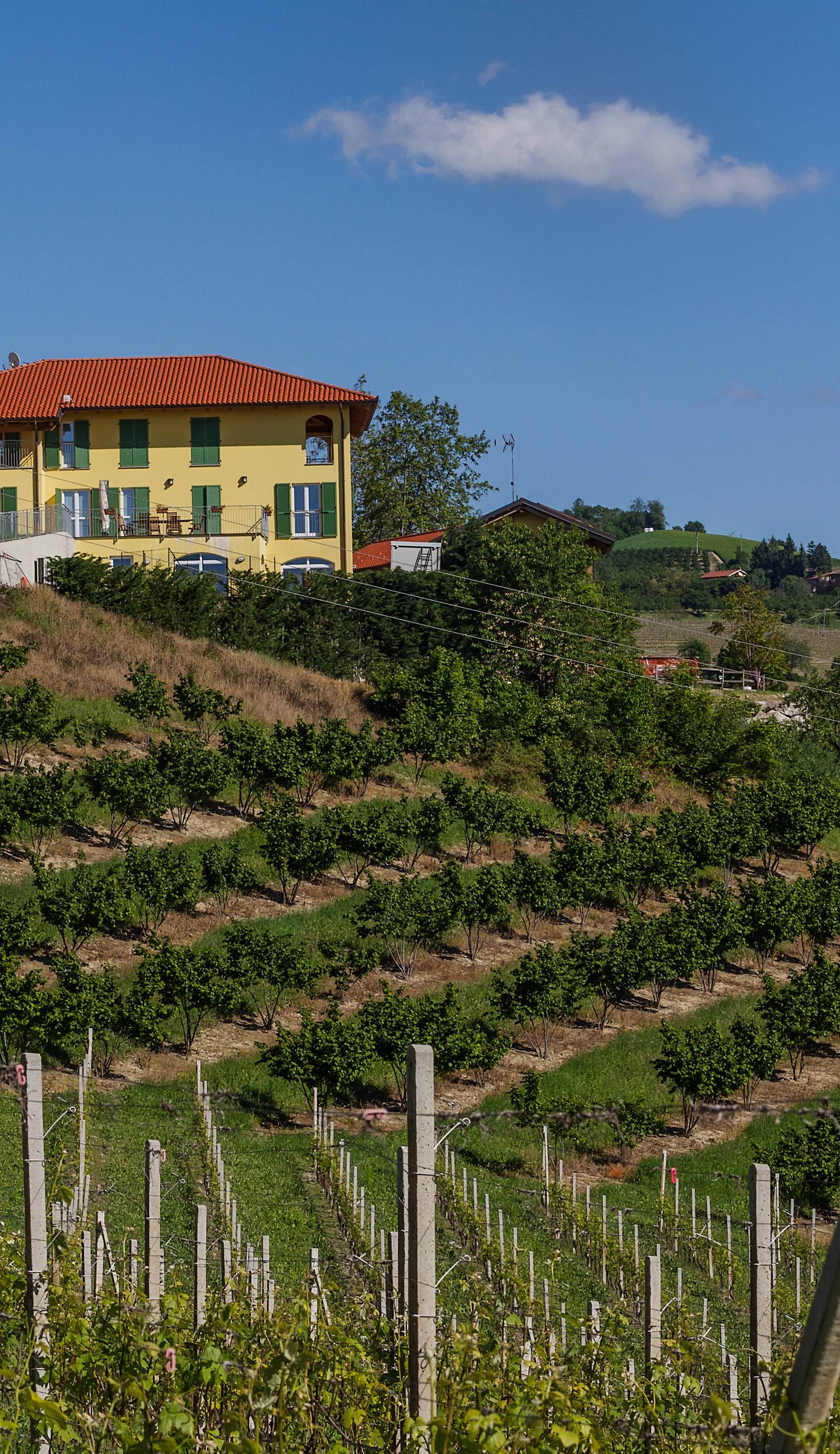 Agriostello delle Langhe