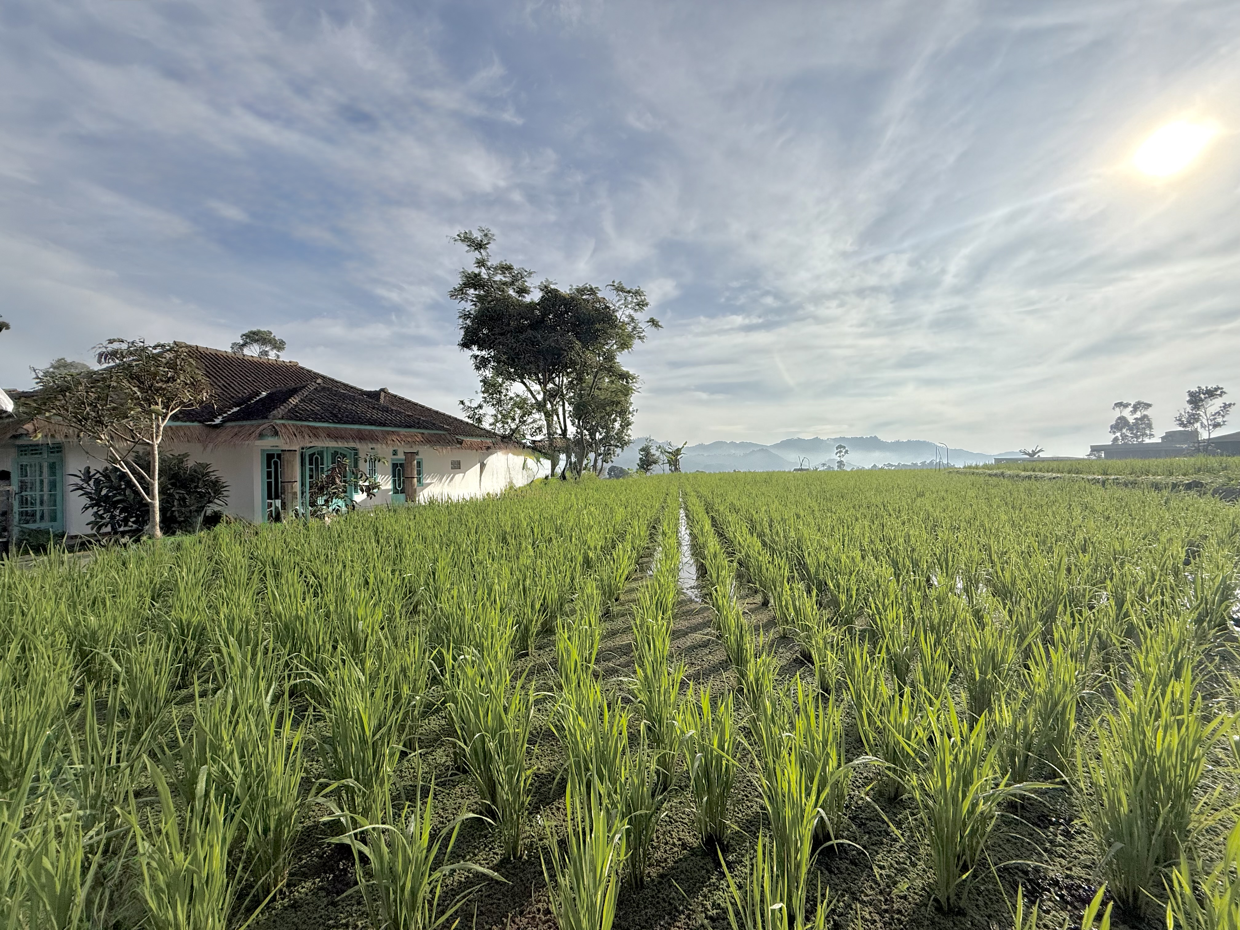 Stay and Farm Hostel