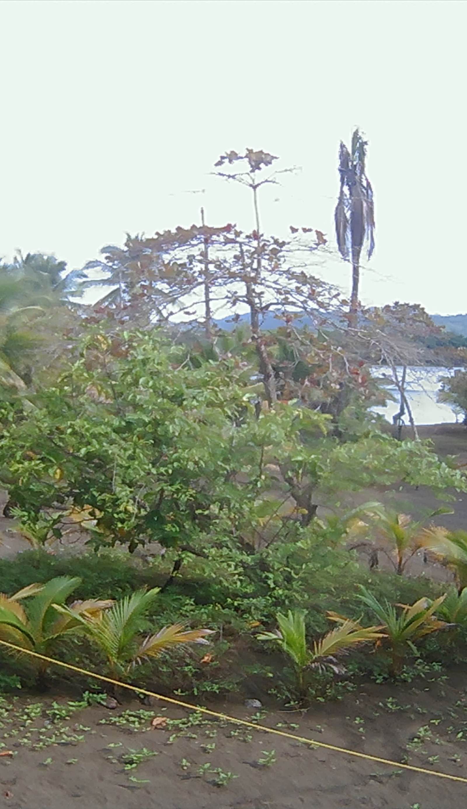 Hostal Pachamama