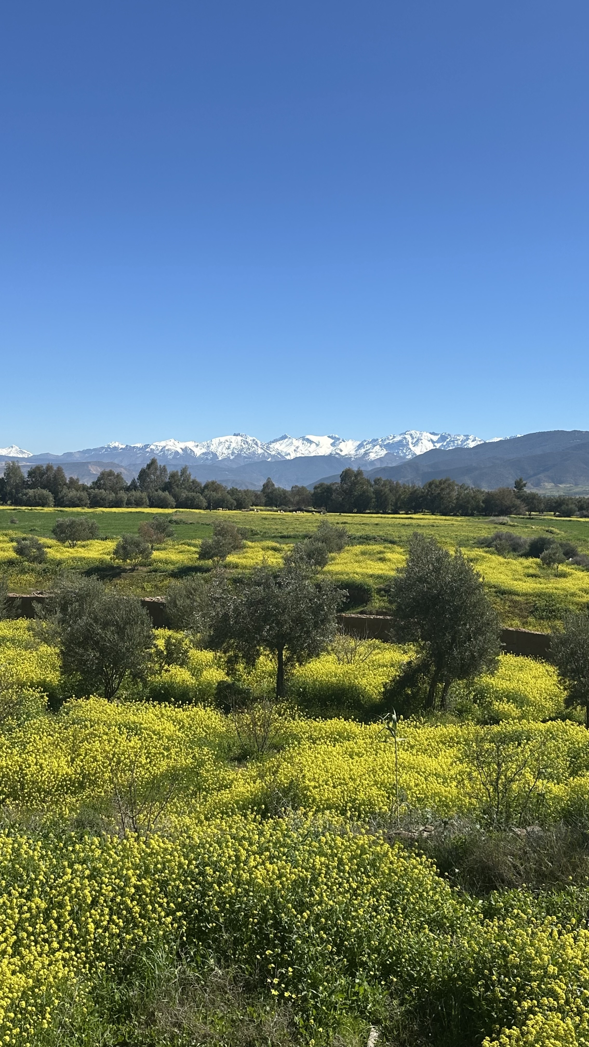 Mountain Riad near Marrakesh