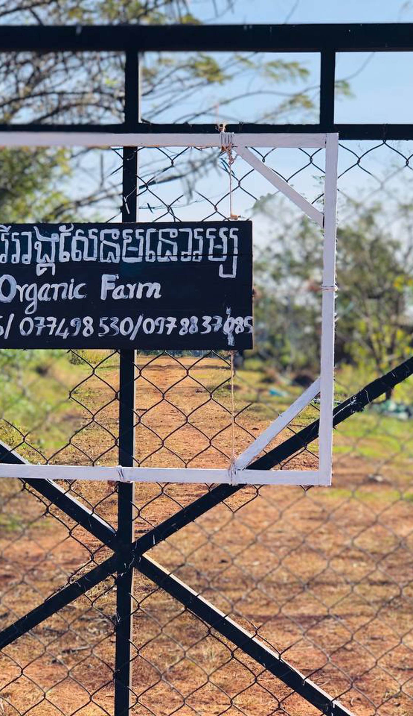 SMR Organic Farm Stay