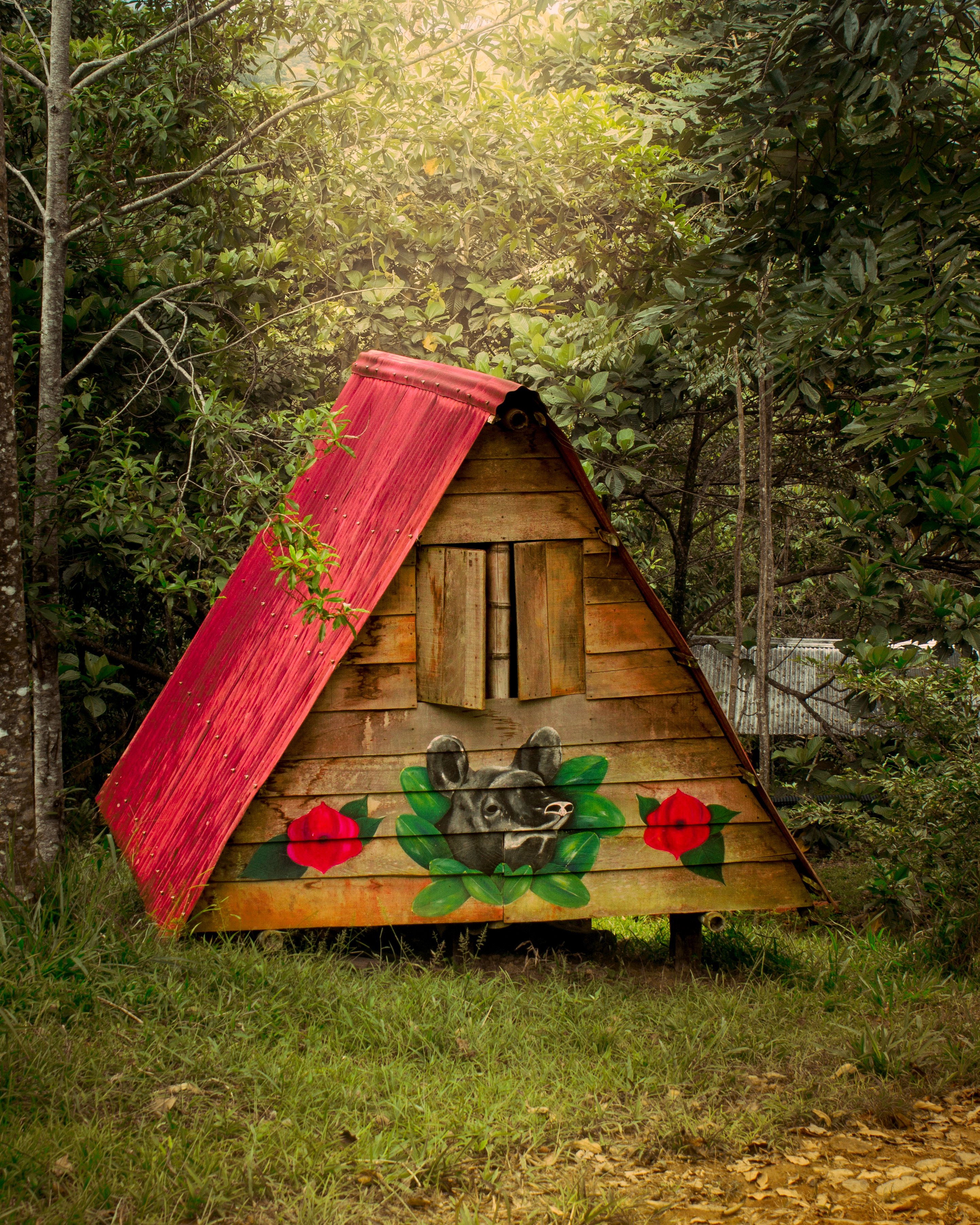 Reserva Kindiwayra ecohostal