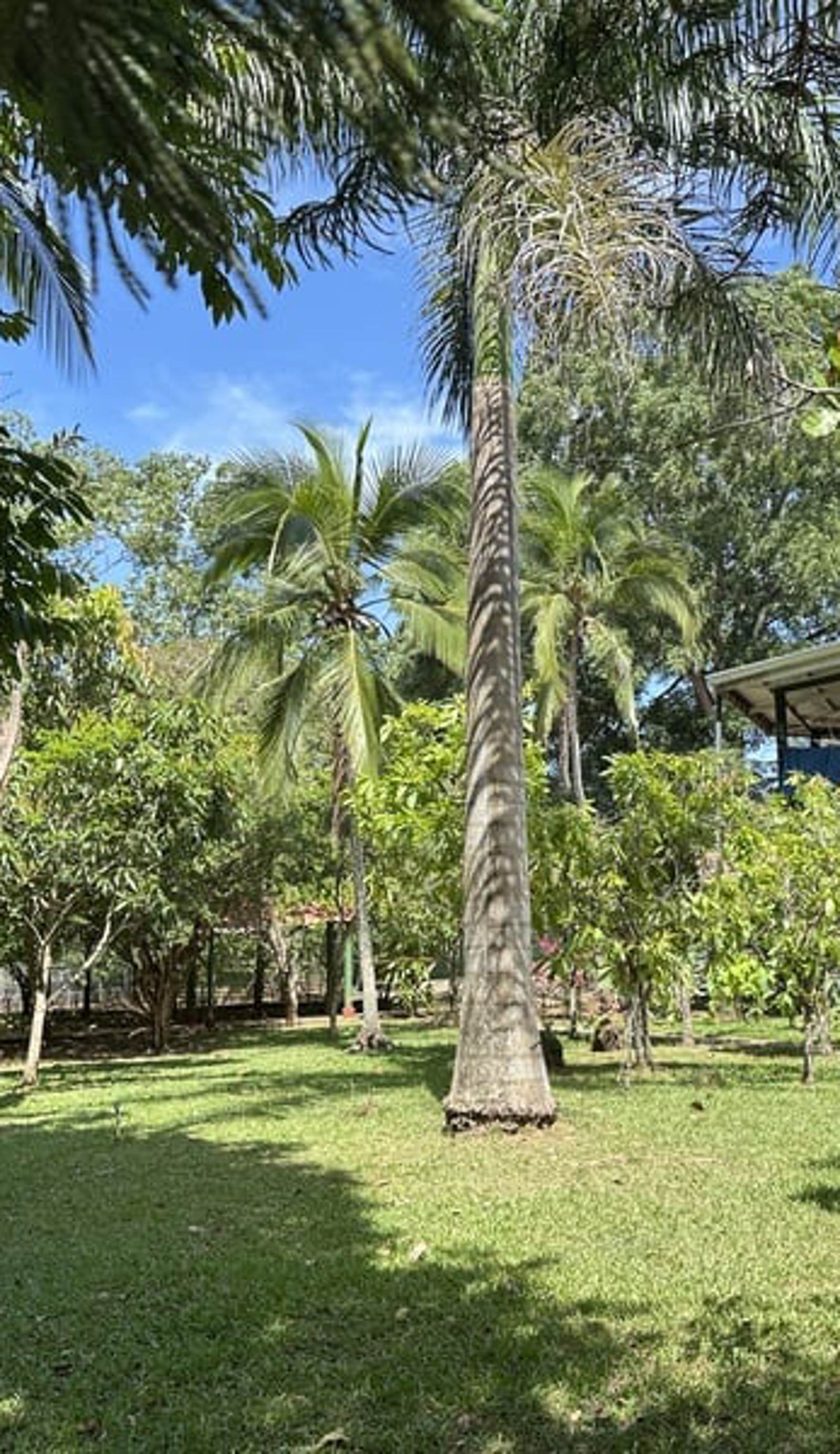 Costa Rica Animal Rescue Center