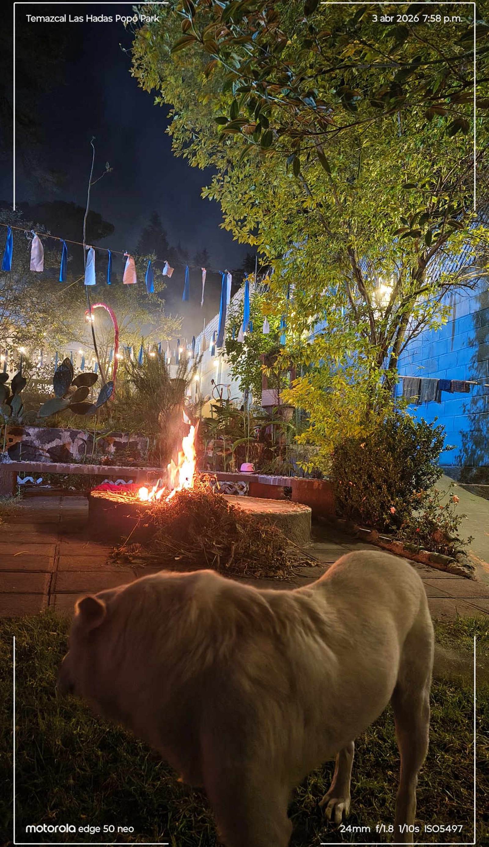 Temazcal Las Hadas