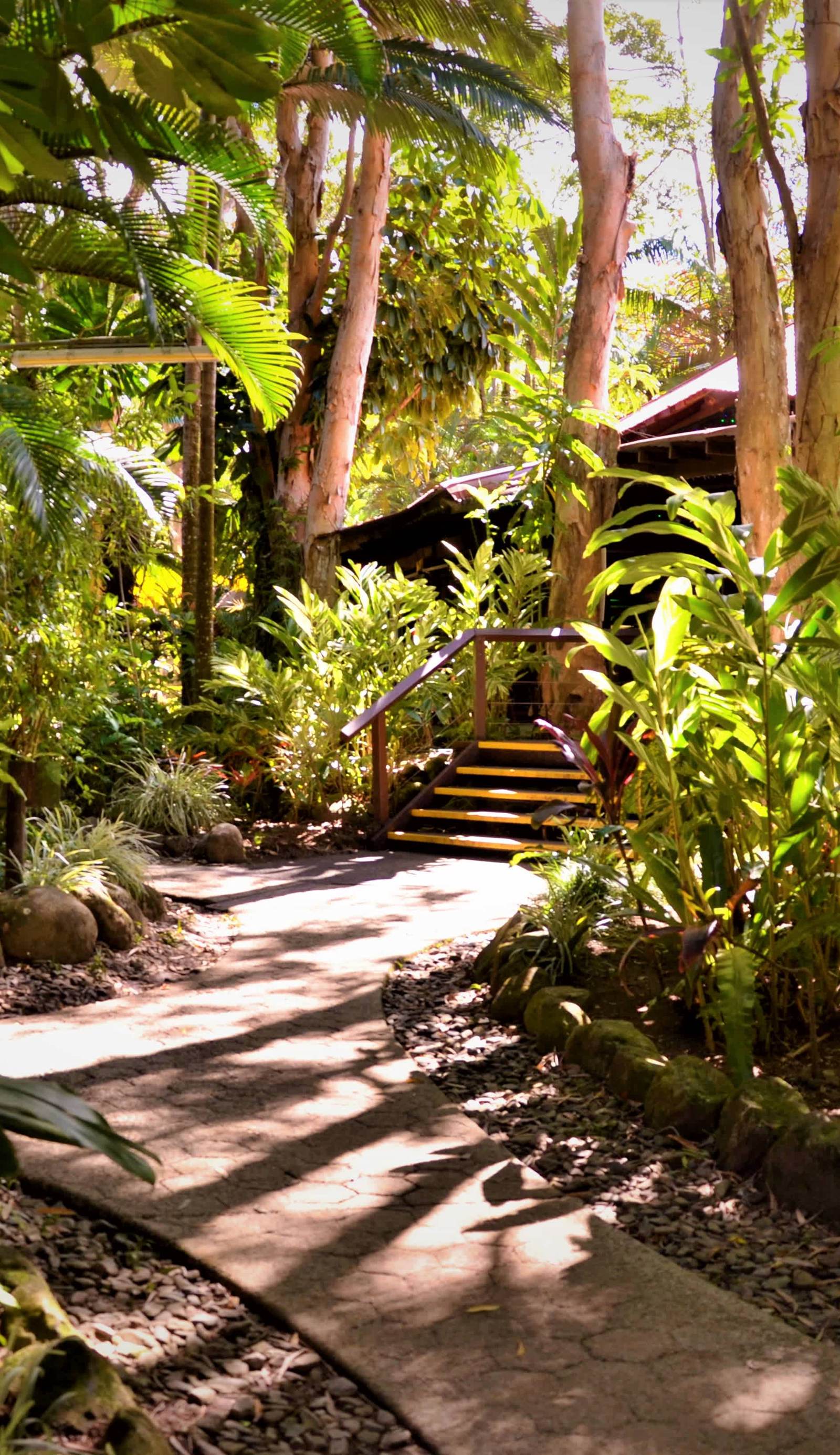 PK's Jungle Village