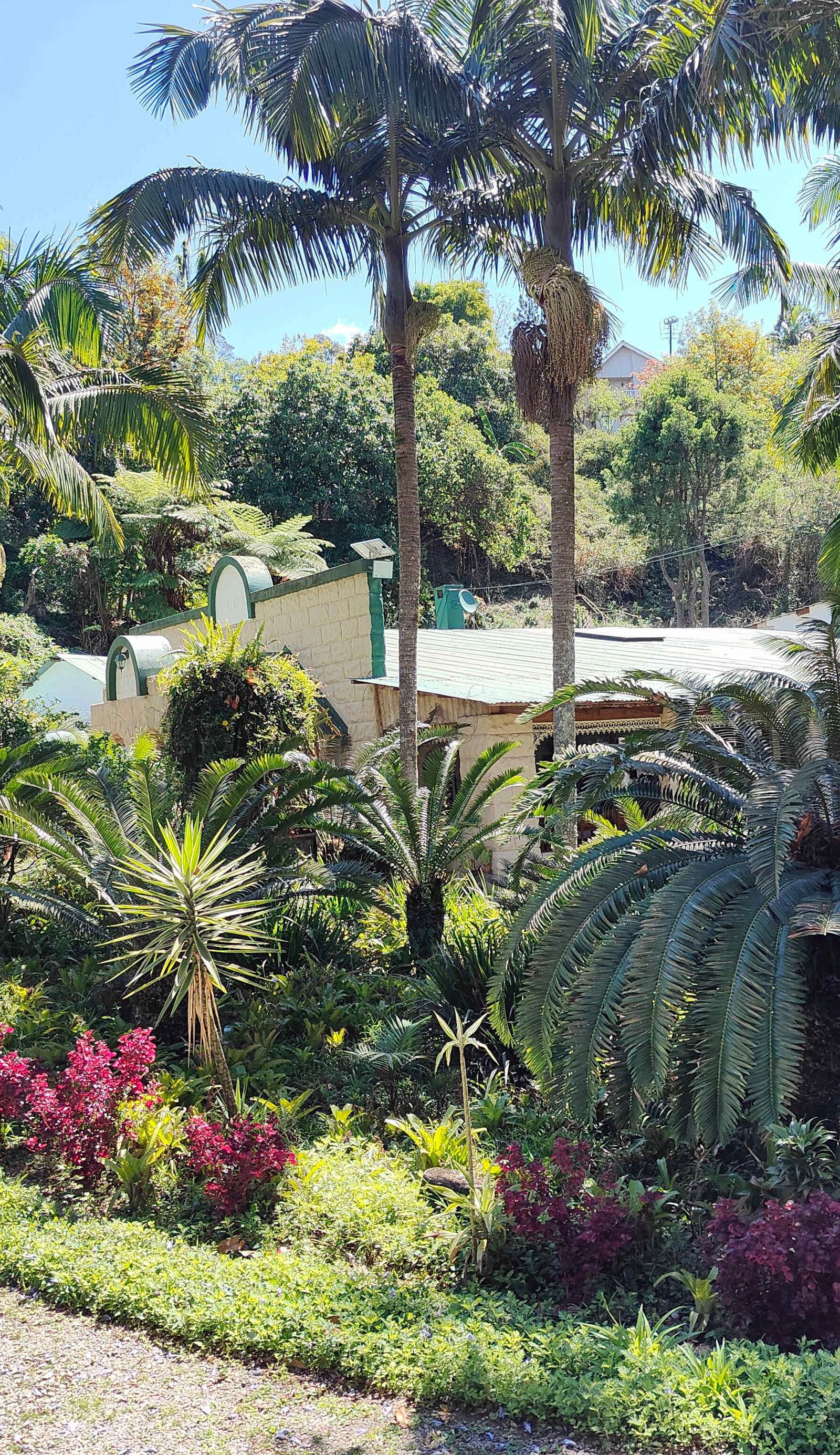 Garden of Eden Cottages and Guest House