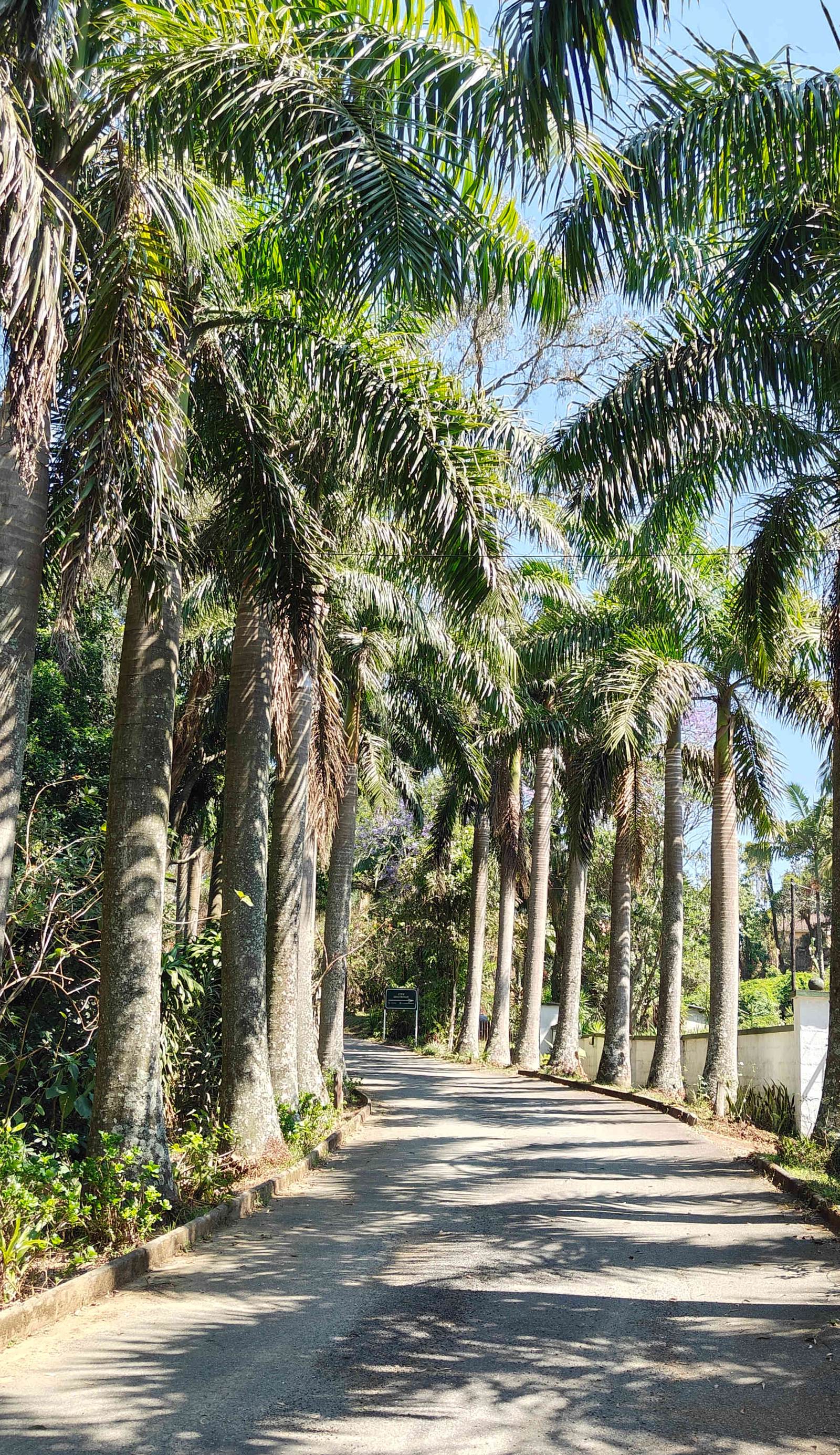 Garden of Eden Cottages and Guest House