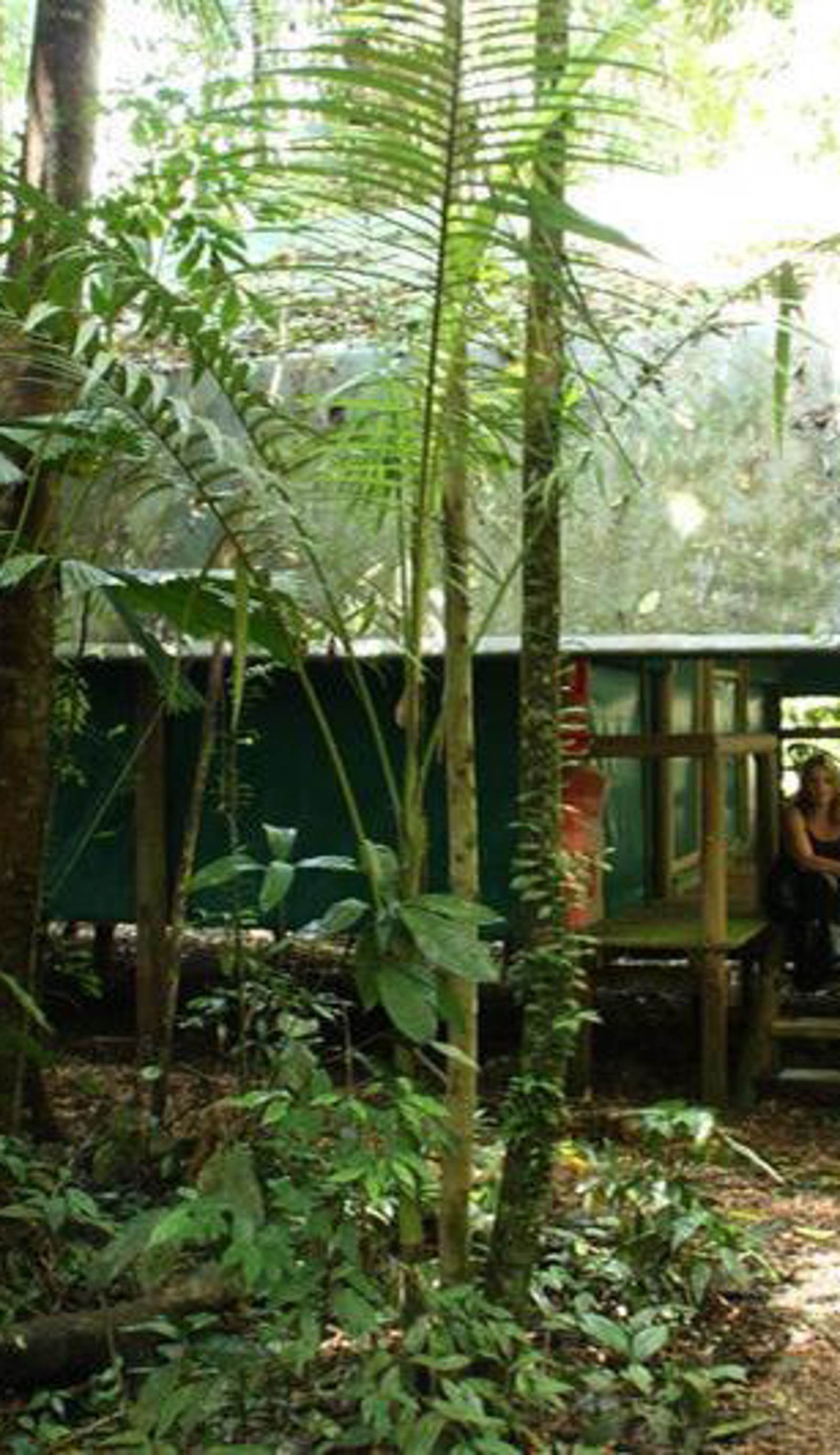Crocodylus Hostel