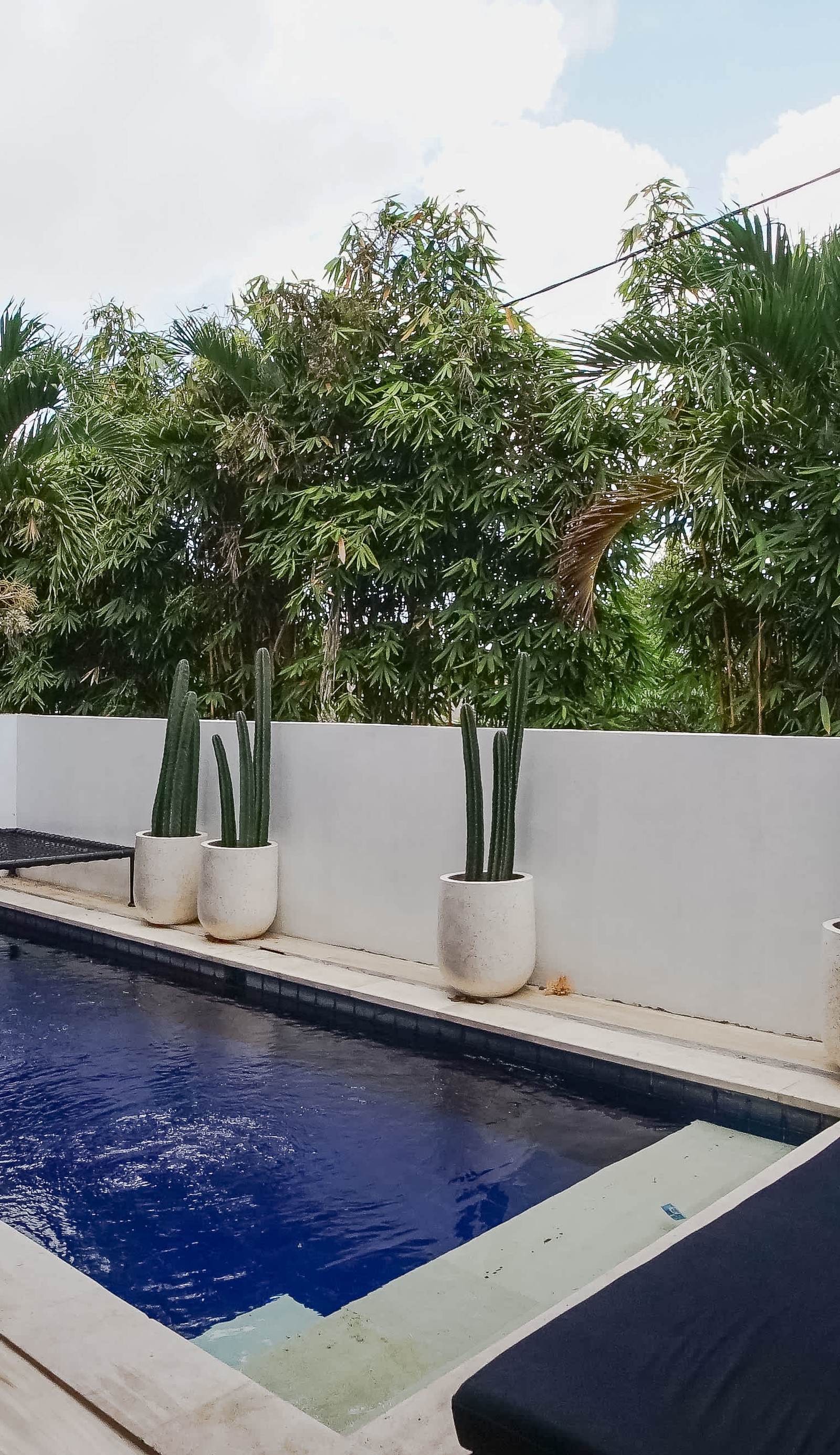 Margarita Surf Hostel Canggu