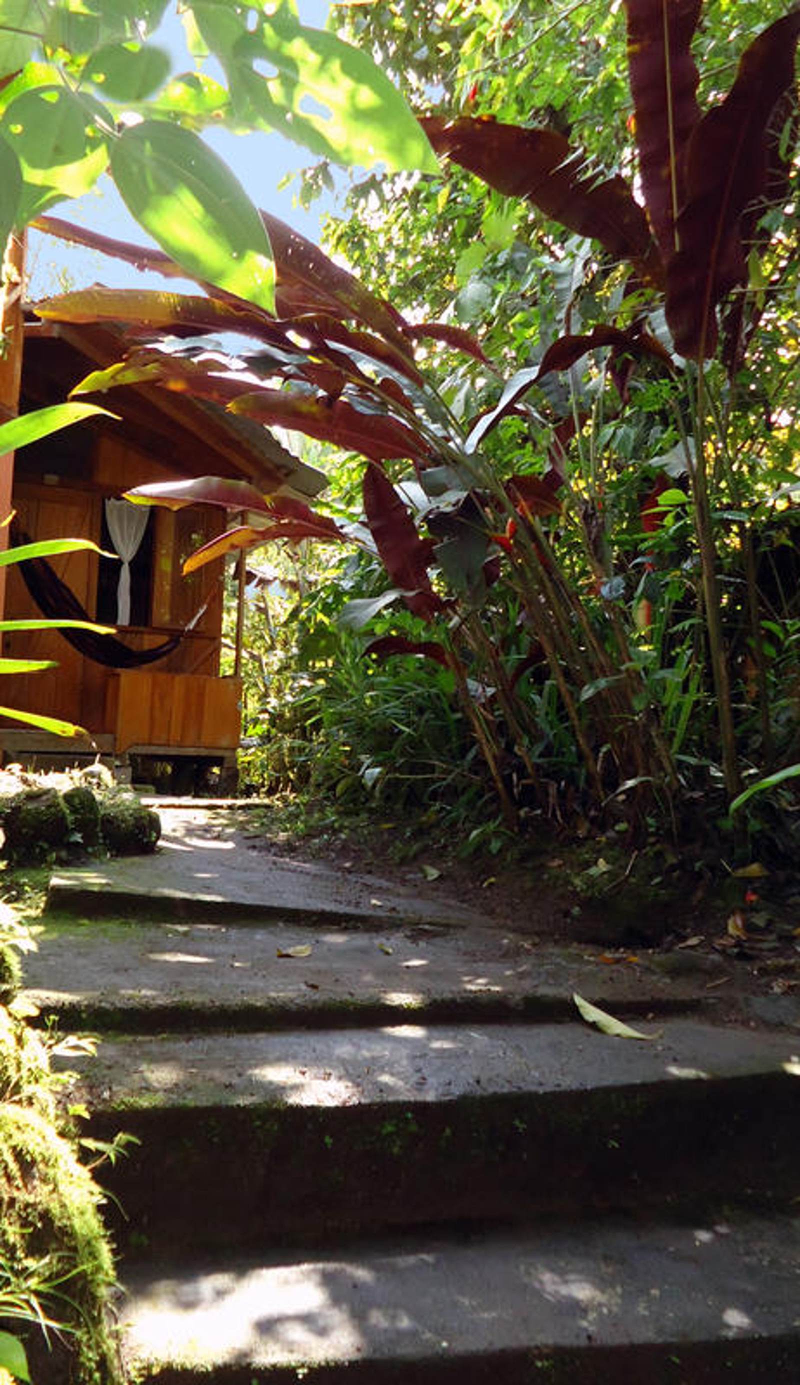 Cabañas Armonia y Jardín de Orquídeas