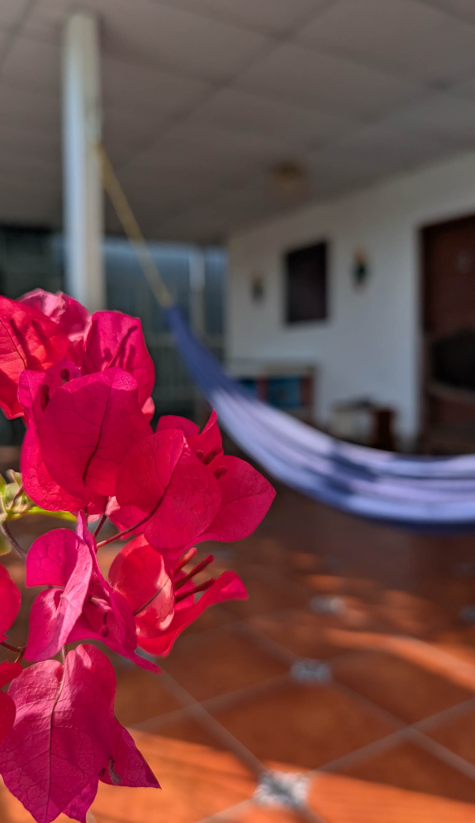 Casa Liz Hostal