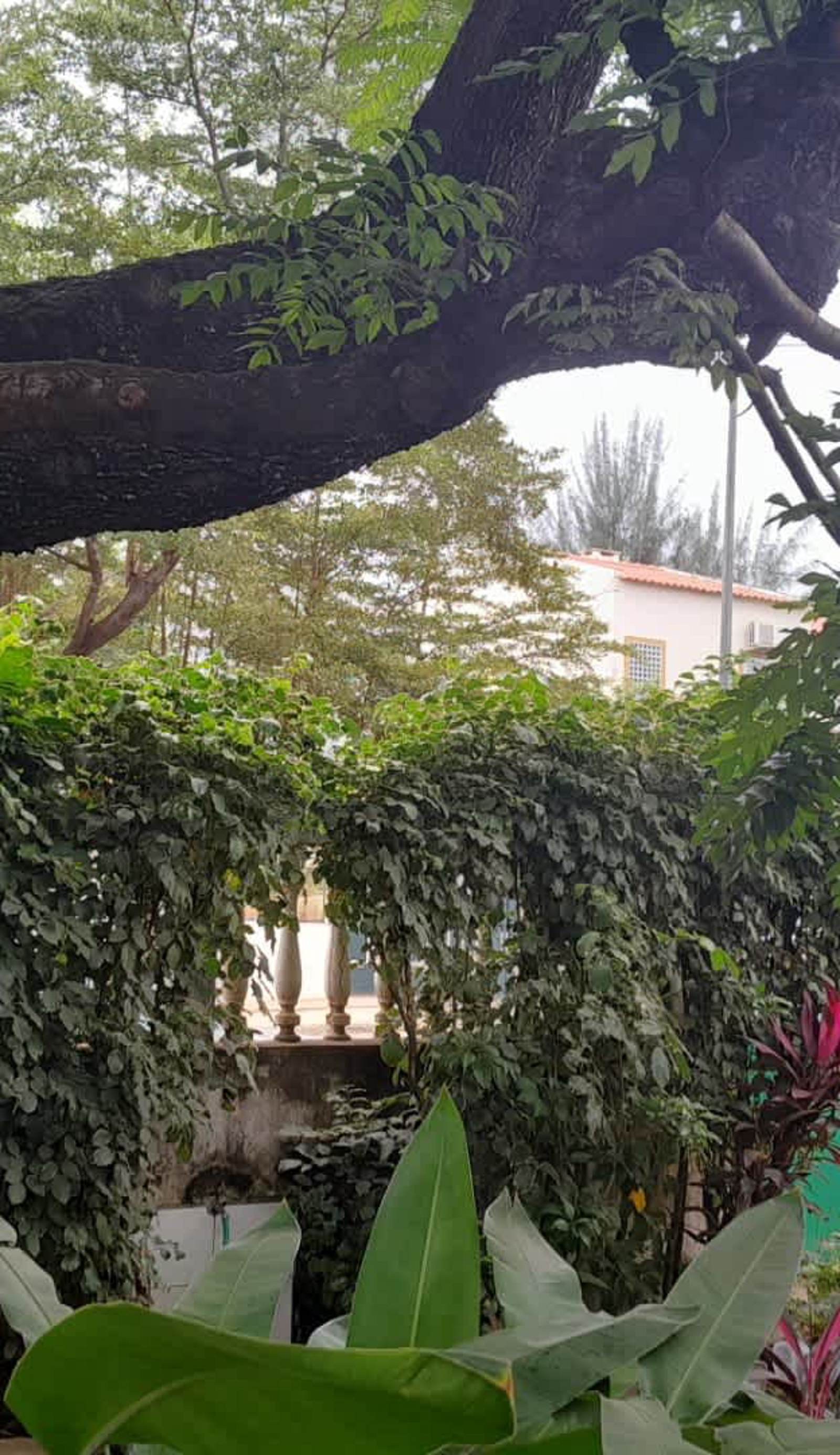 Casa de Ferias