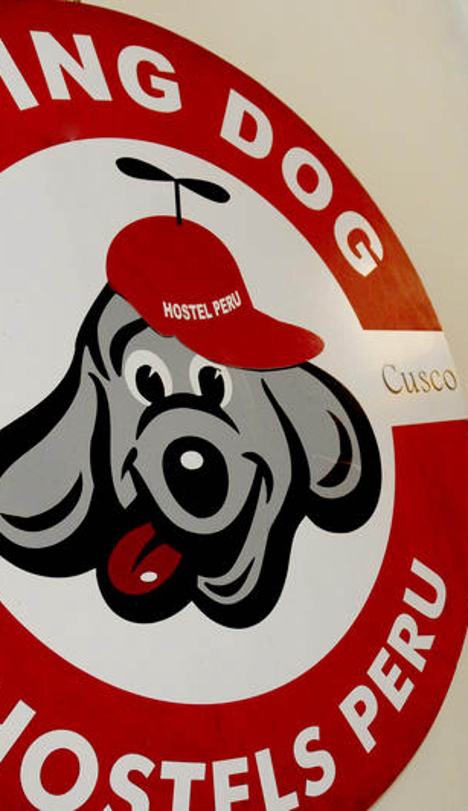 Flying Dog Hostels Backpackers