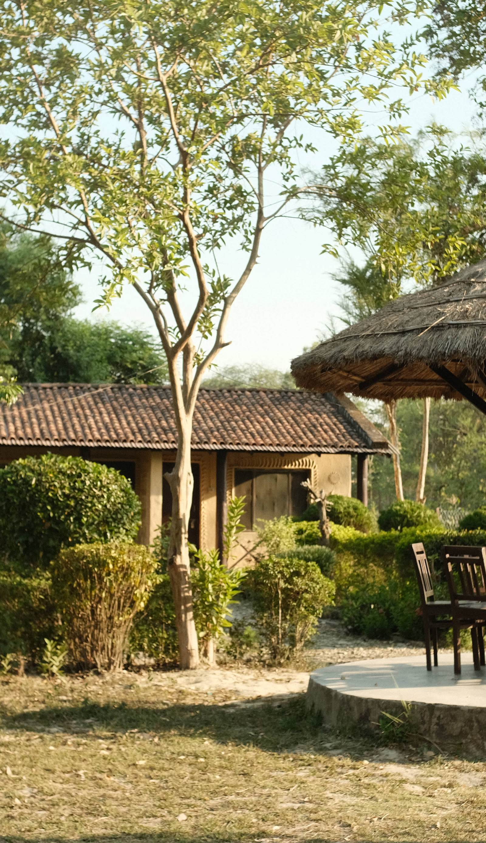 Bardia Riverside View Park Resort