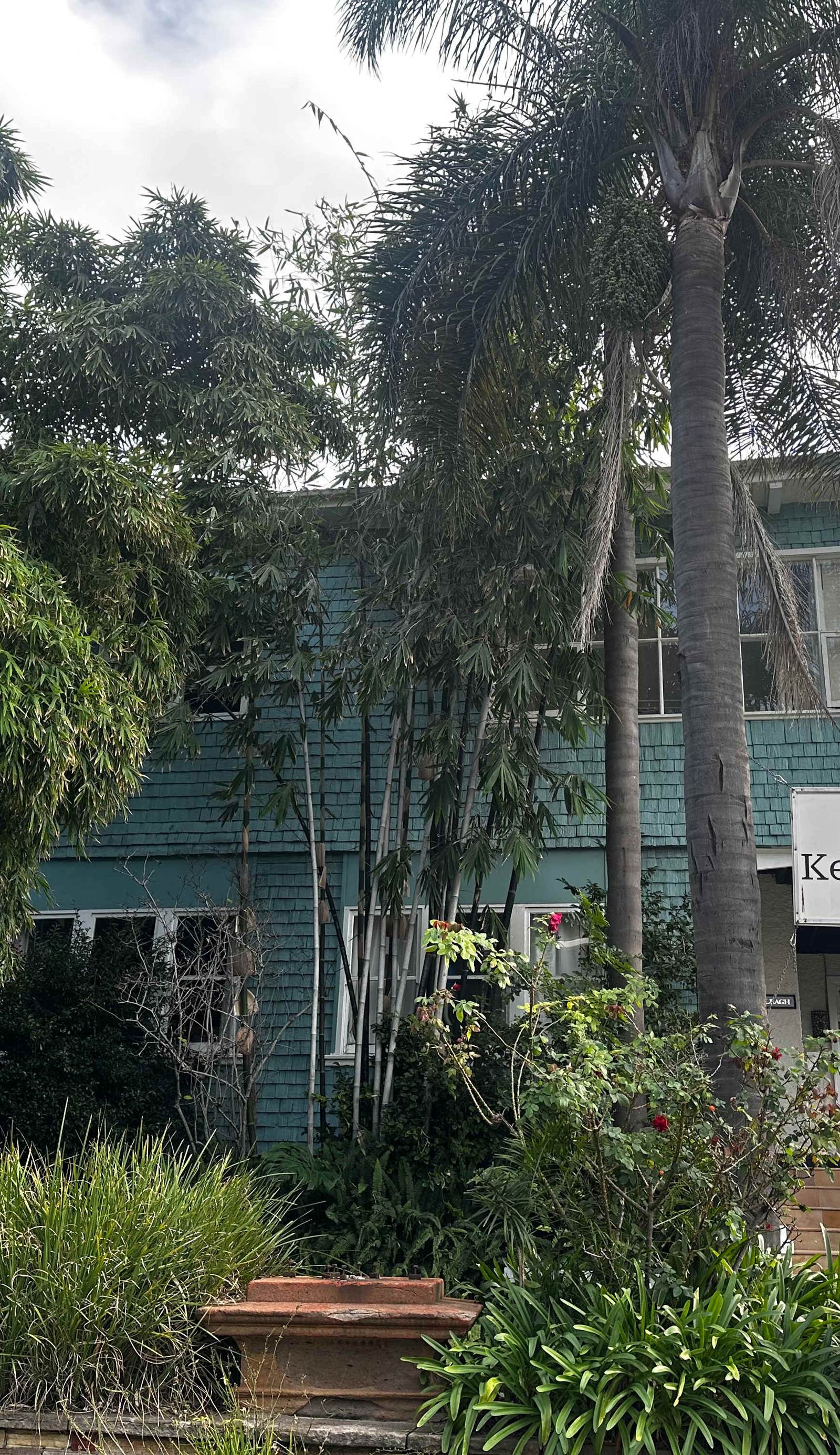 Wollongong Backpackers Keiraleagh