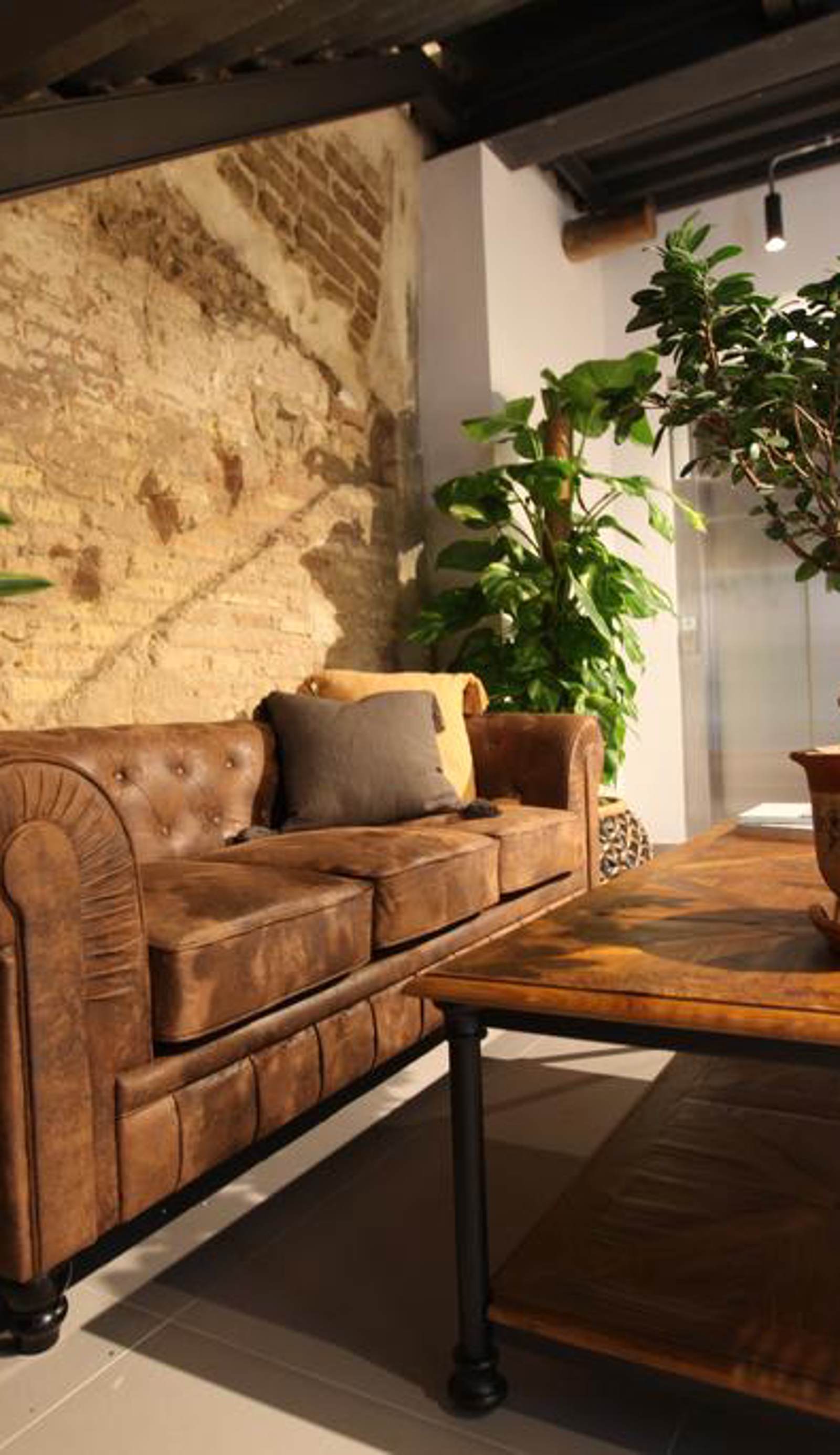 The Botanic Hostel