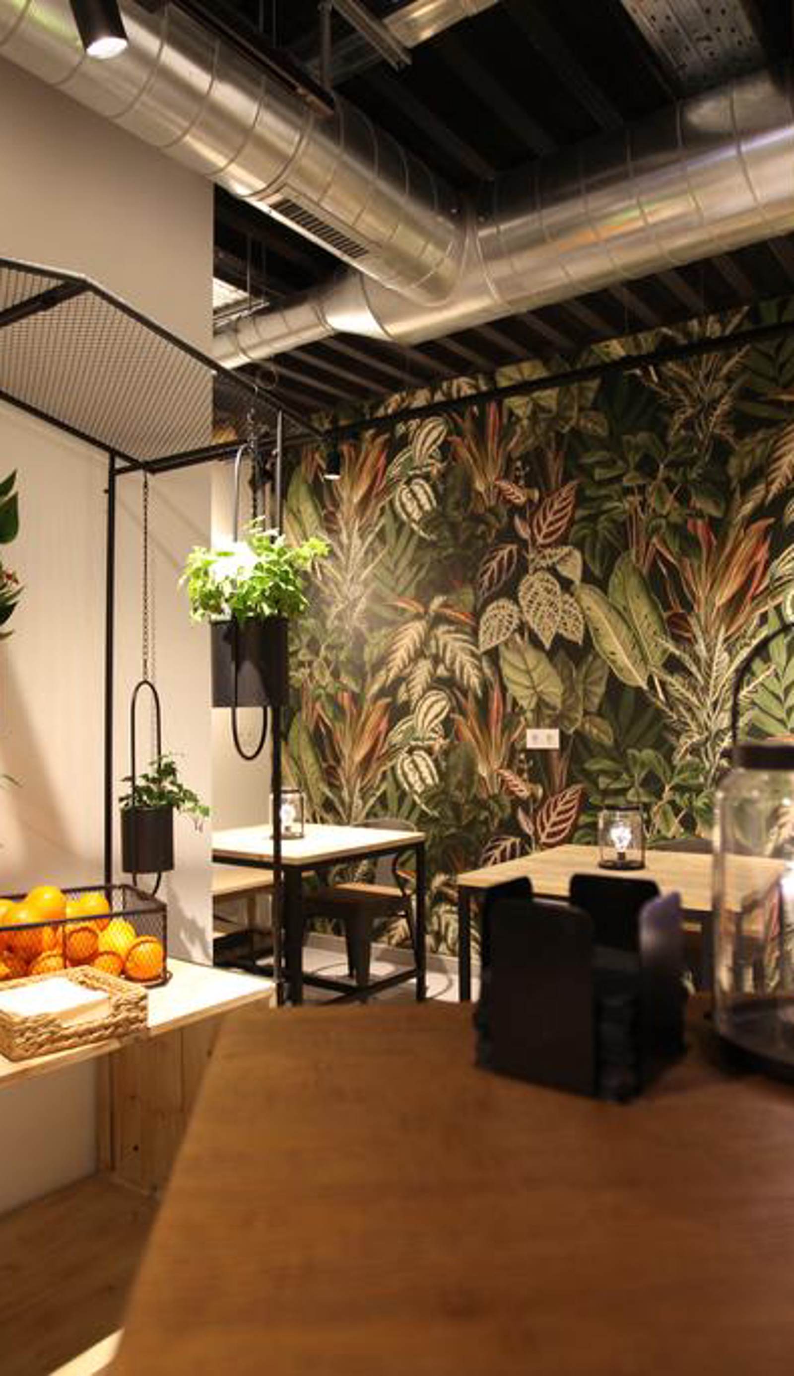 The Botanic Hostel