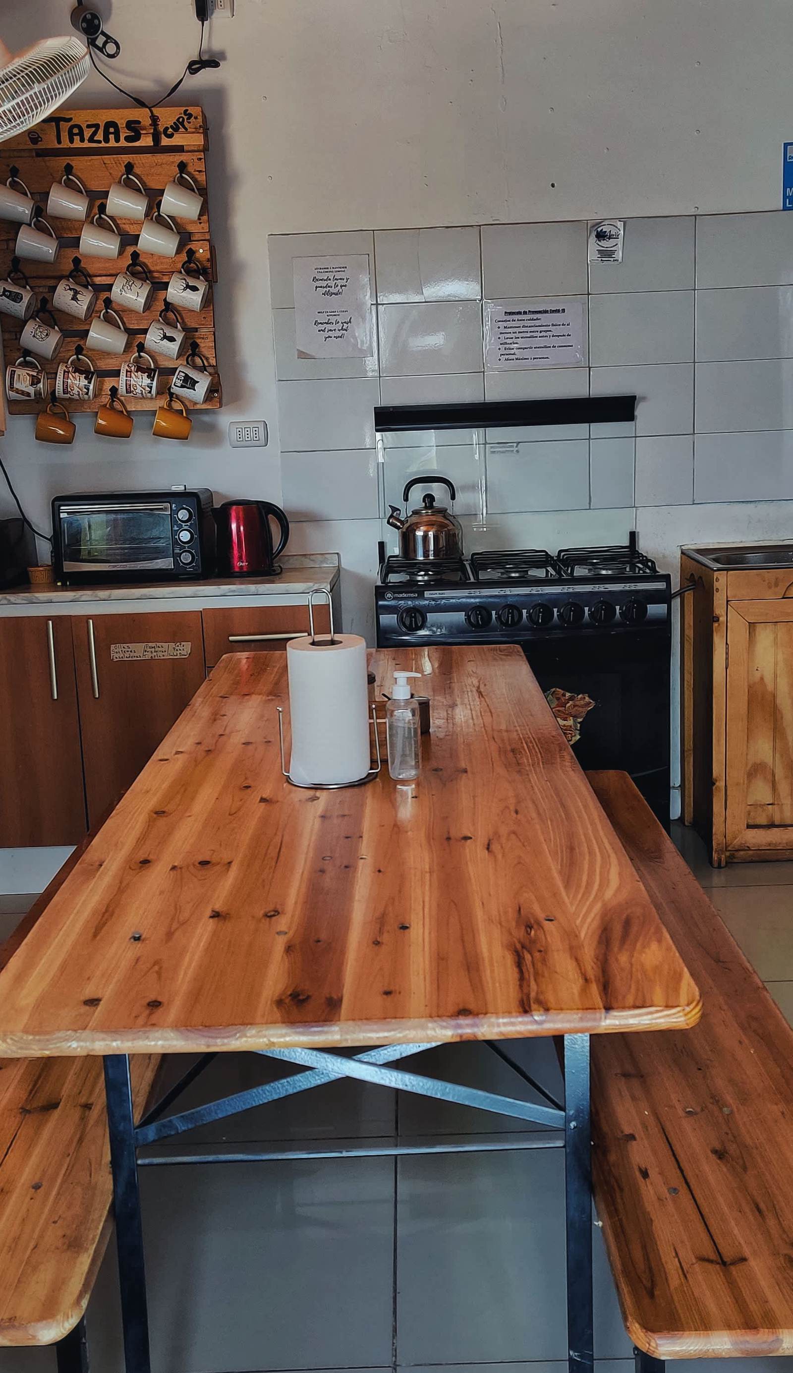 Rey Lagarto Hostel