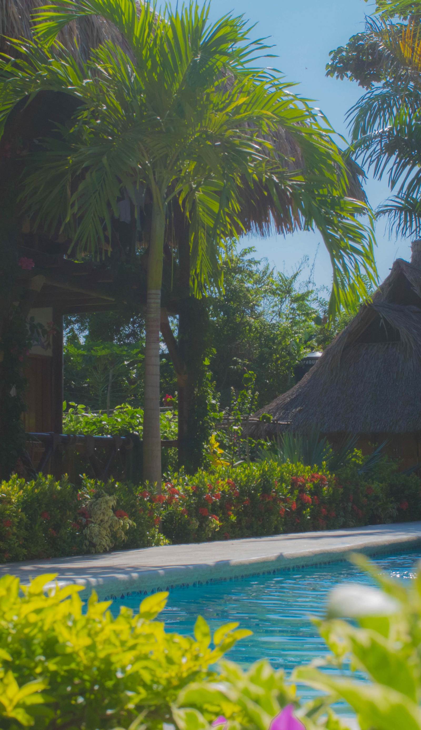 Primaluna Beach Hostel