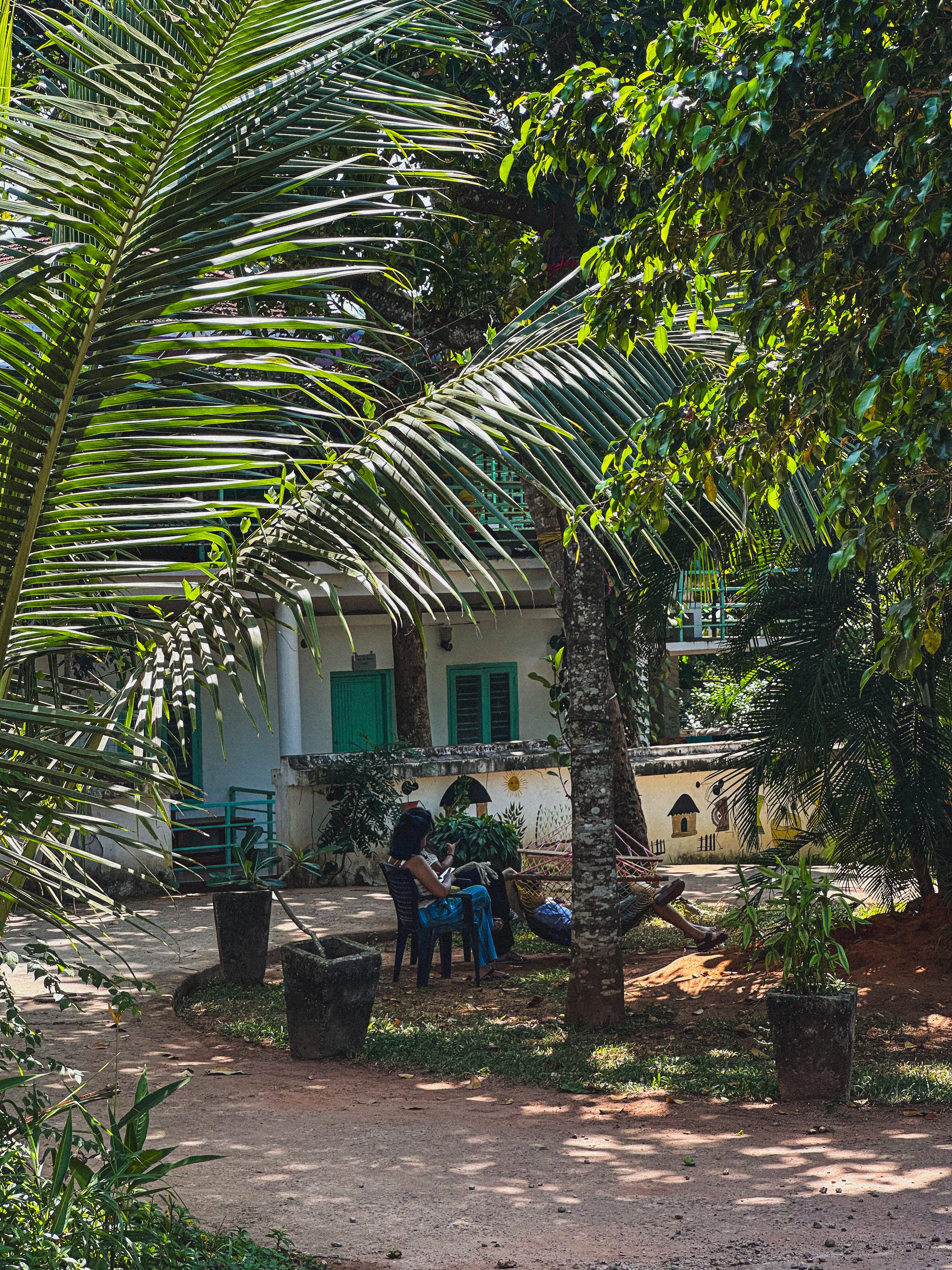 Mollys Hostel