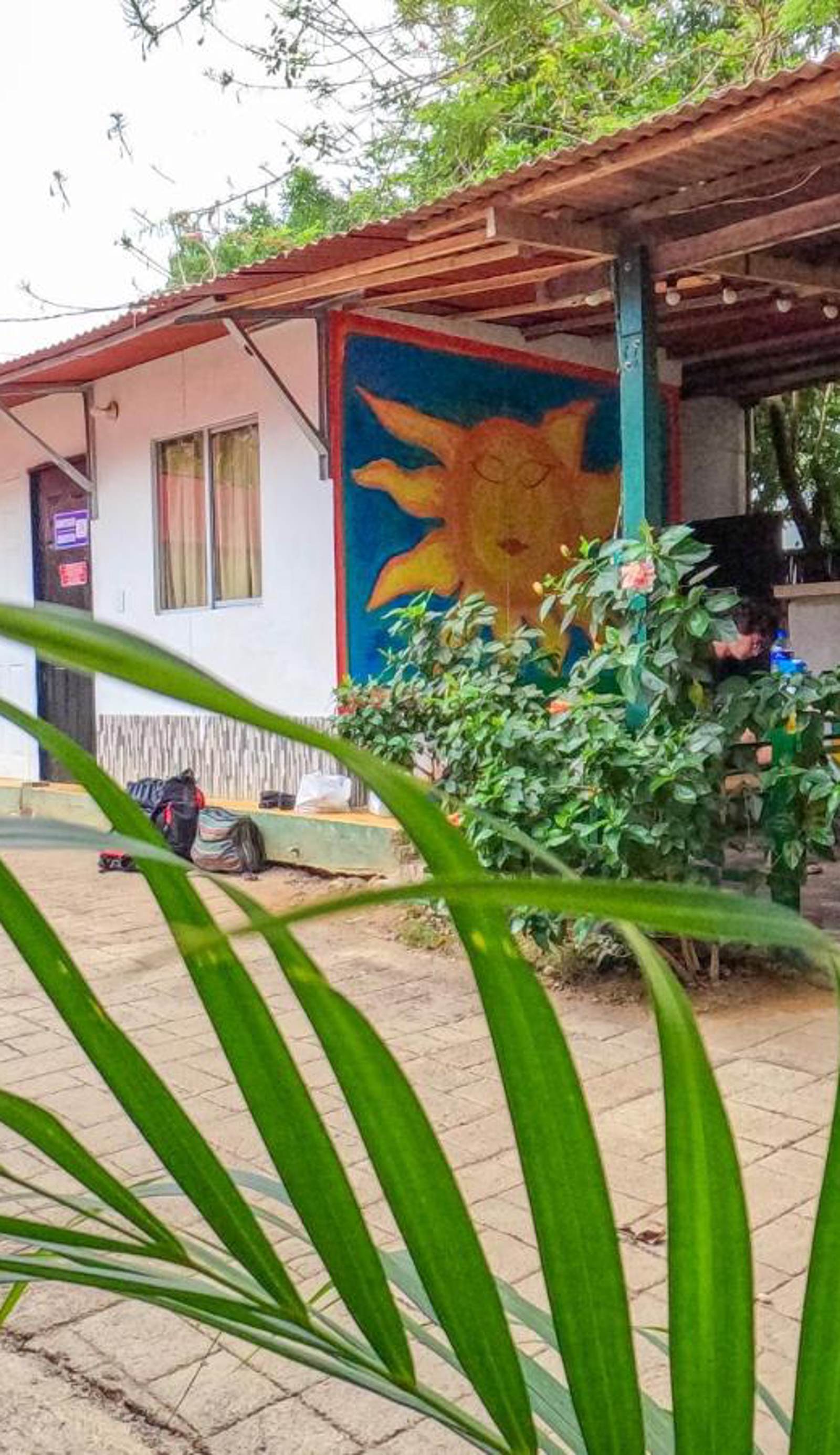 Palomino Hostel