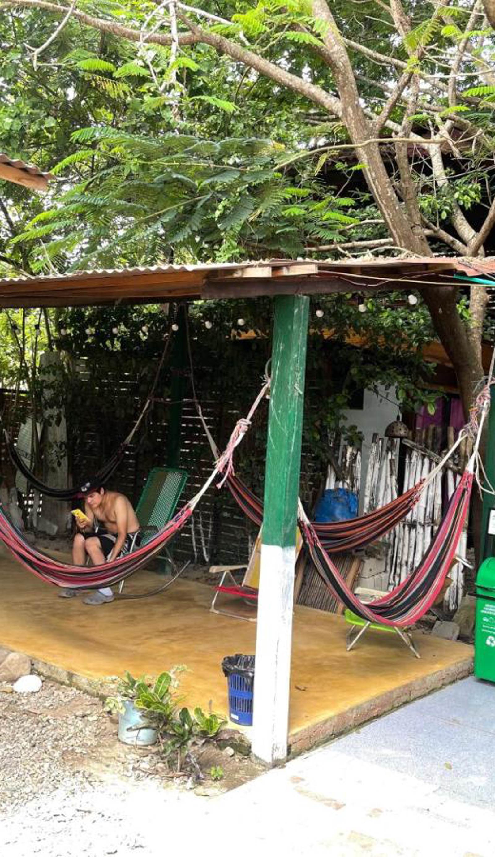 Palomino Hostel