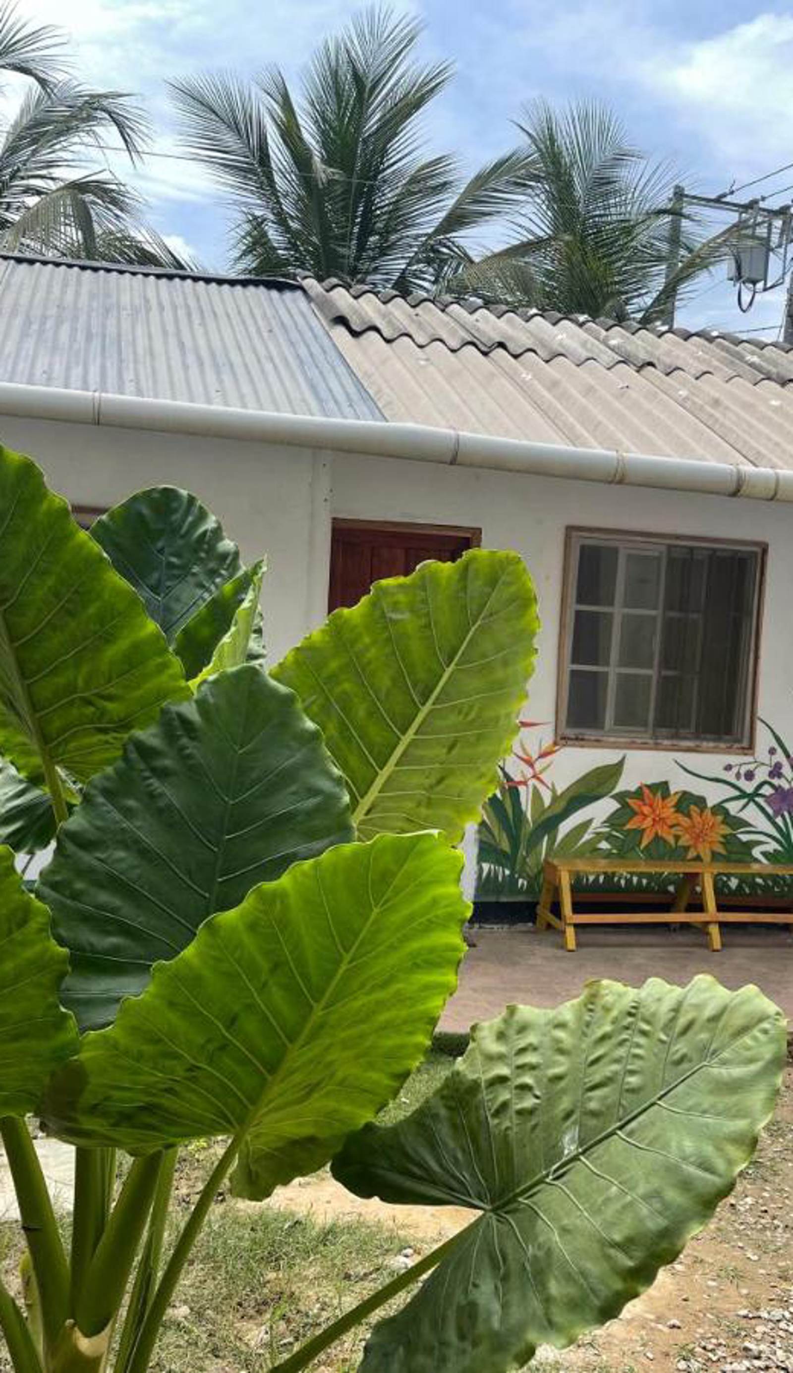 Palomino Hostel
