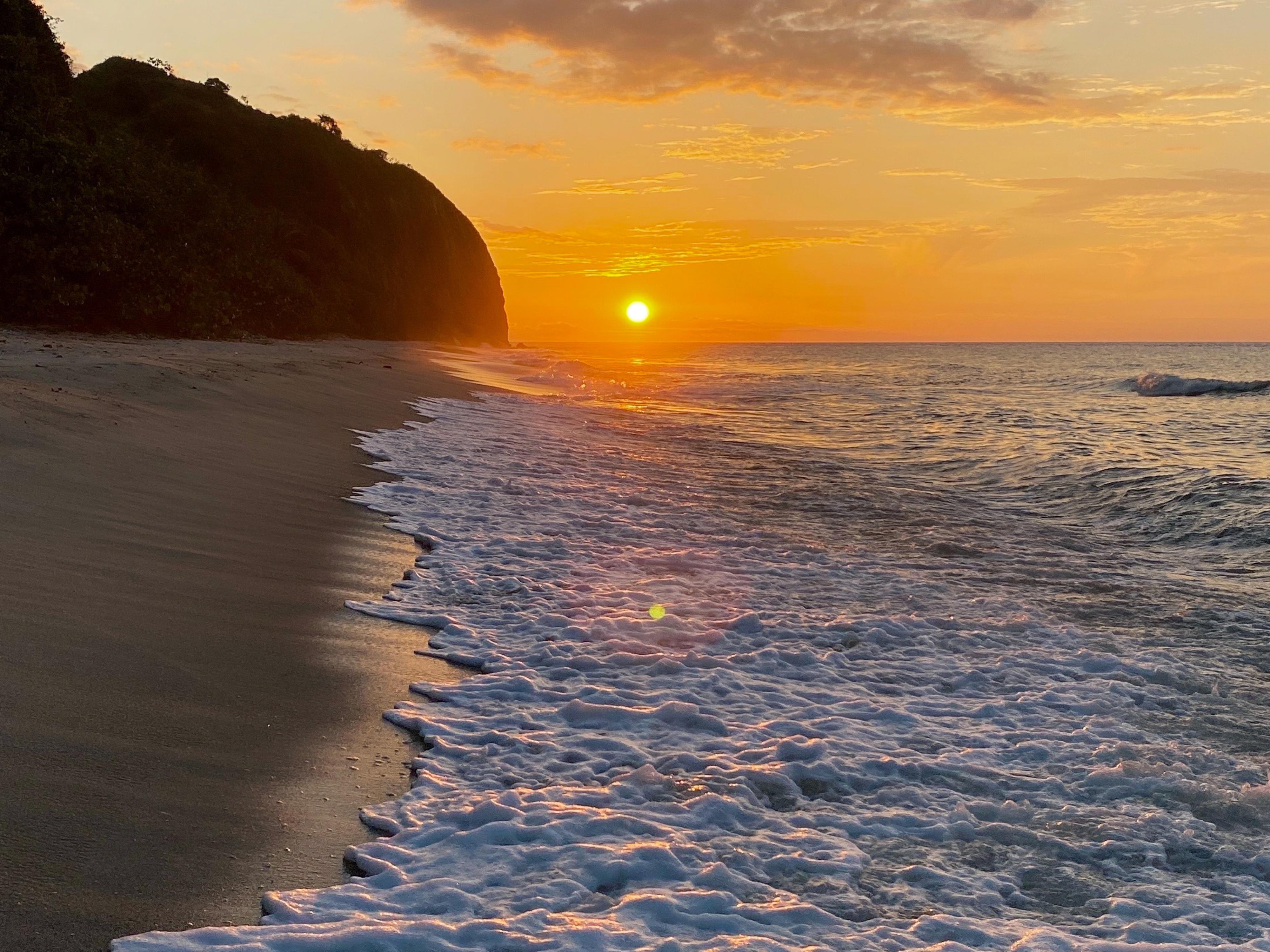 Cocobeach Palomino