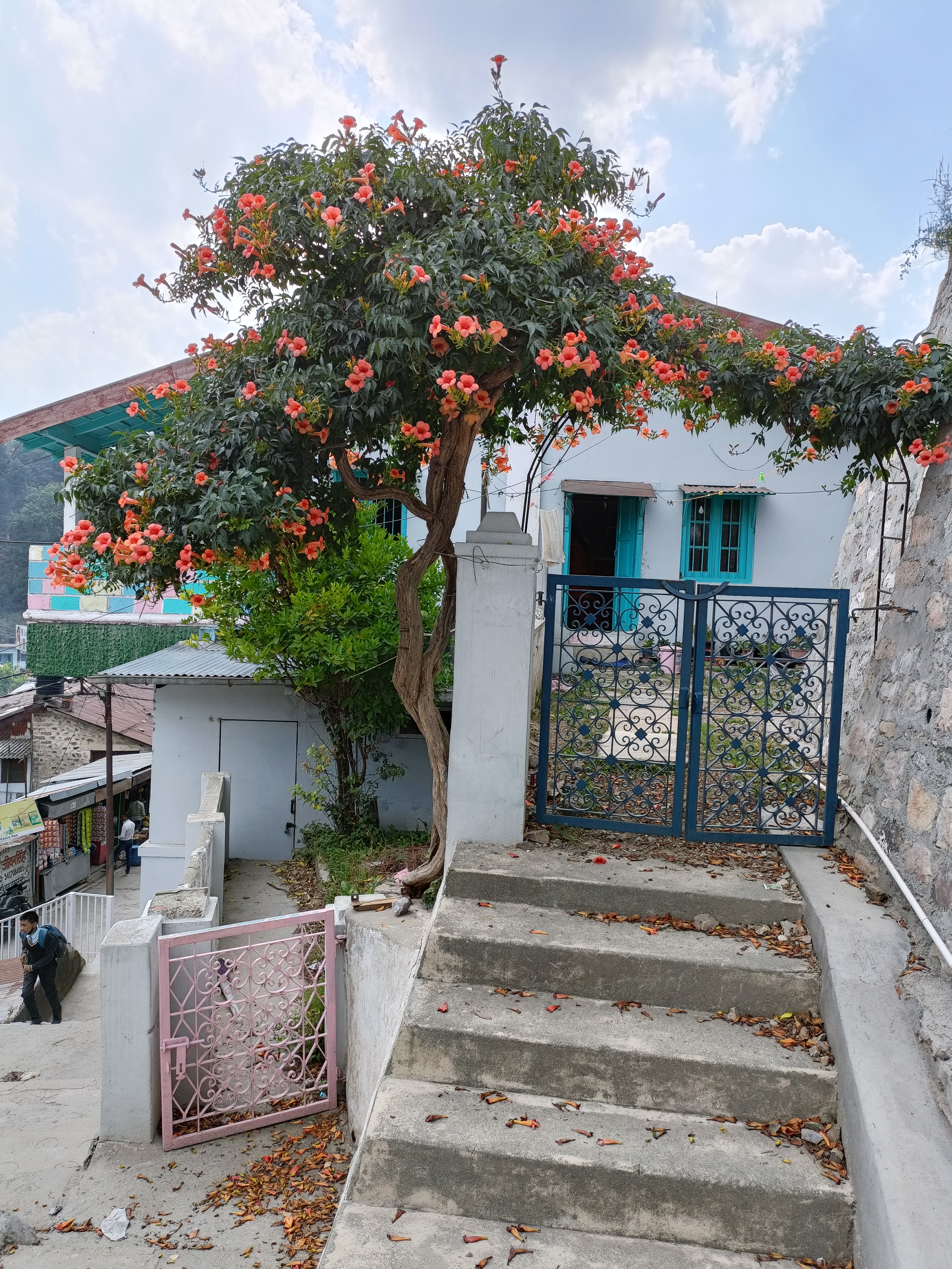 Mohraj Homestay Bhowali