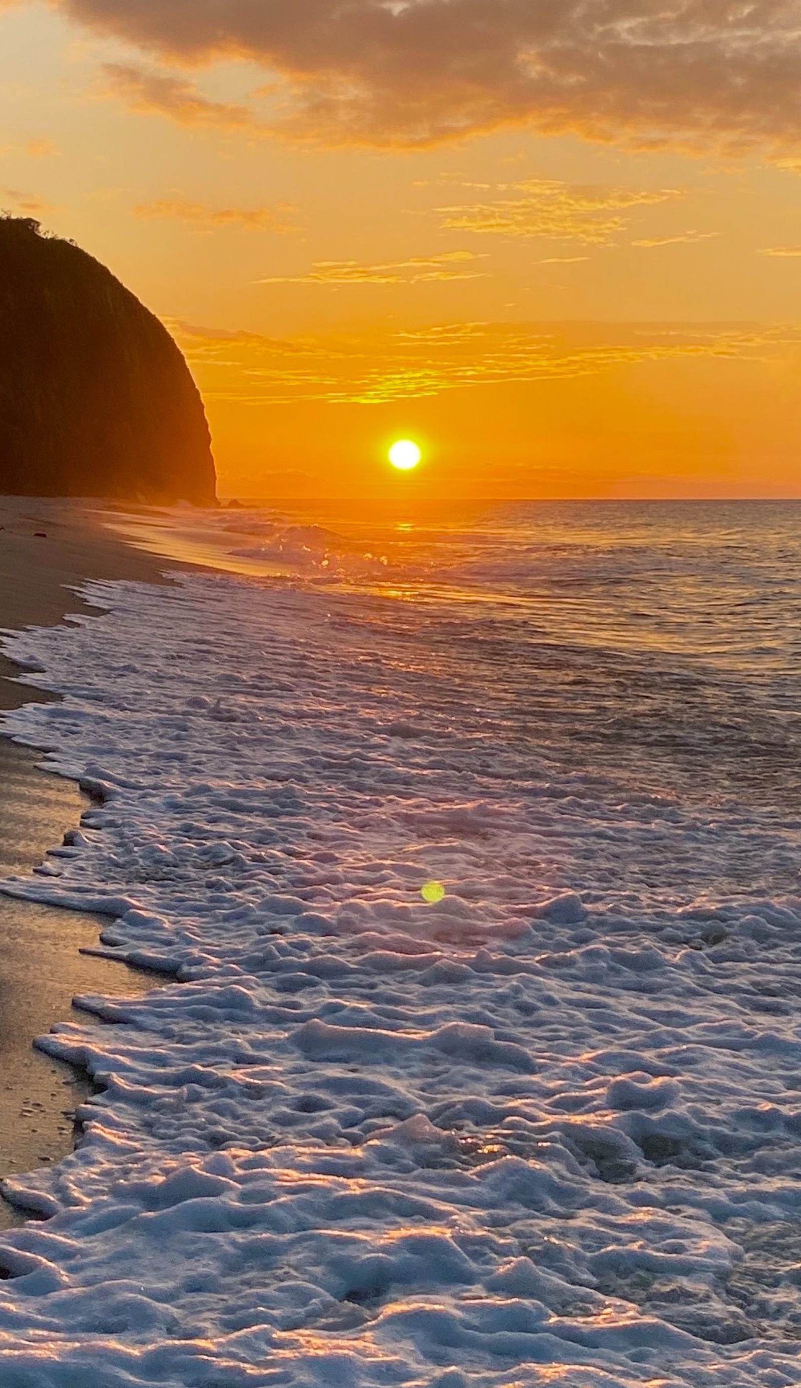 Cocobeach Palomino